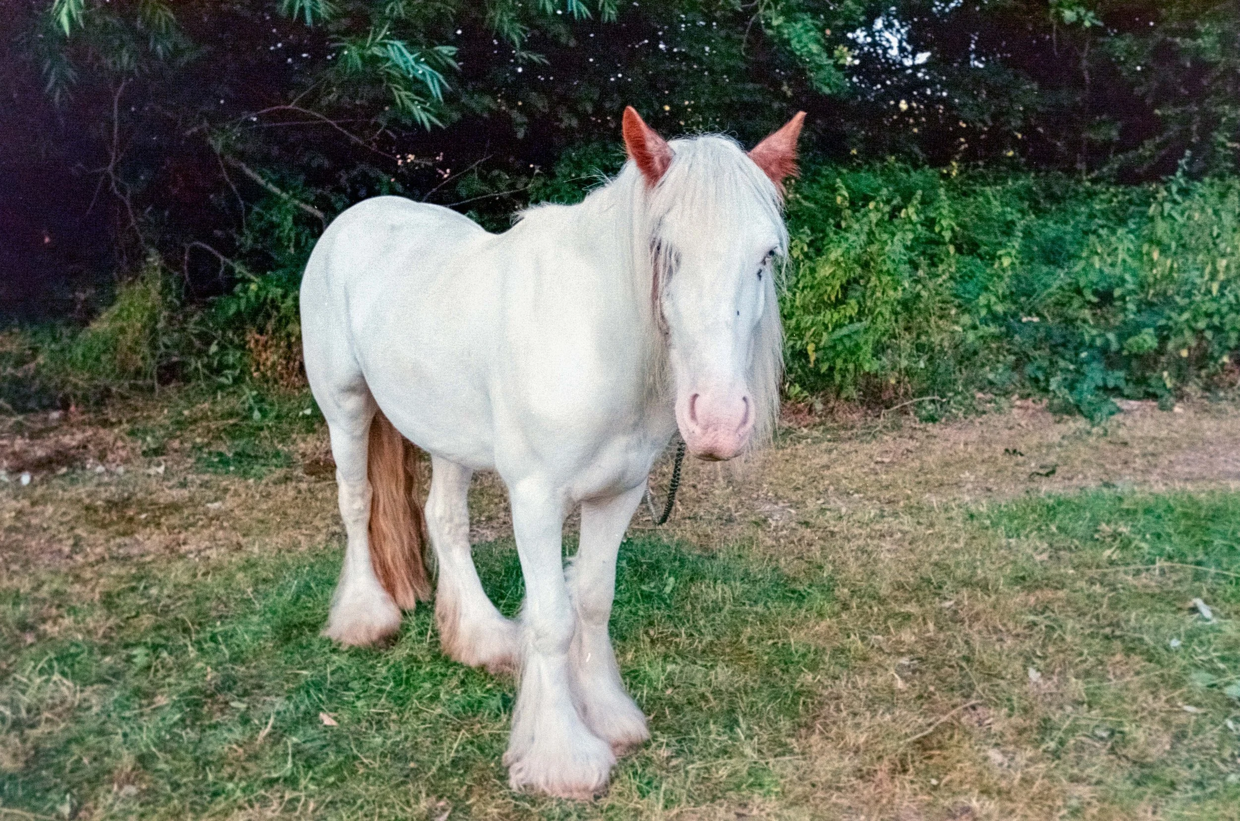 DSCF0471.jpg
