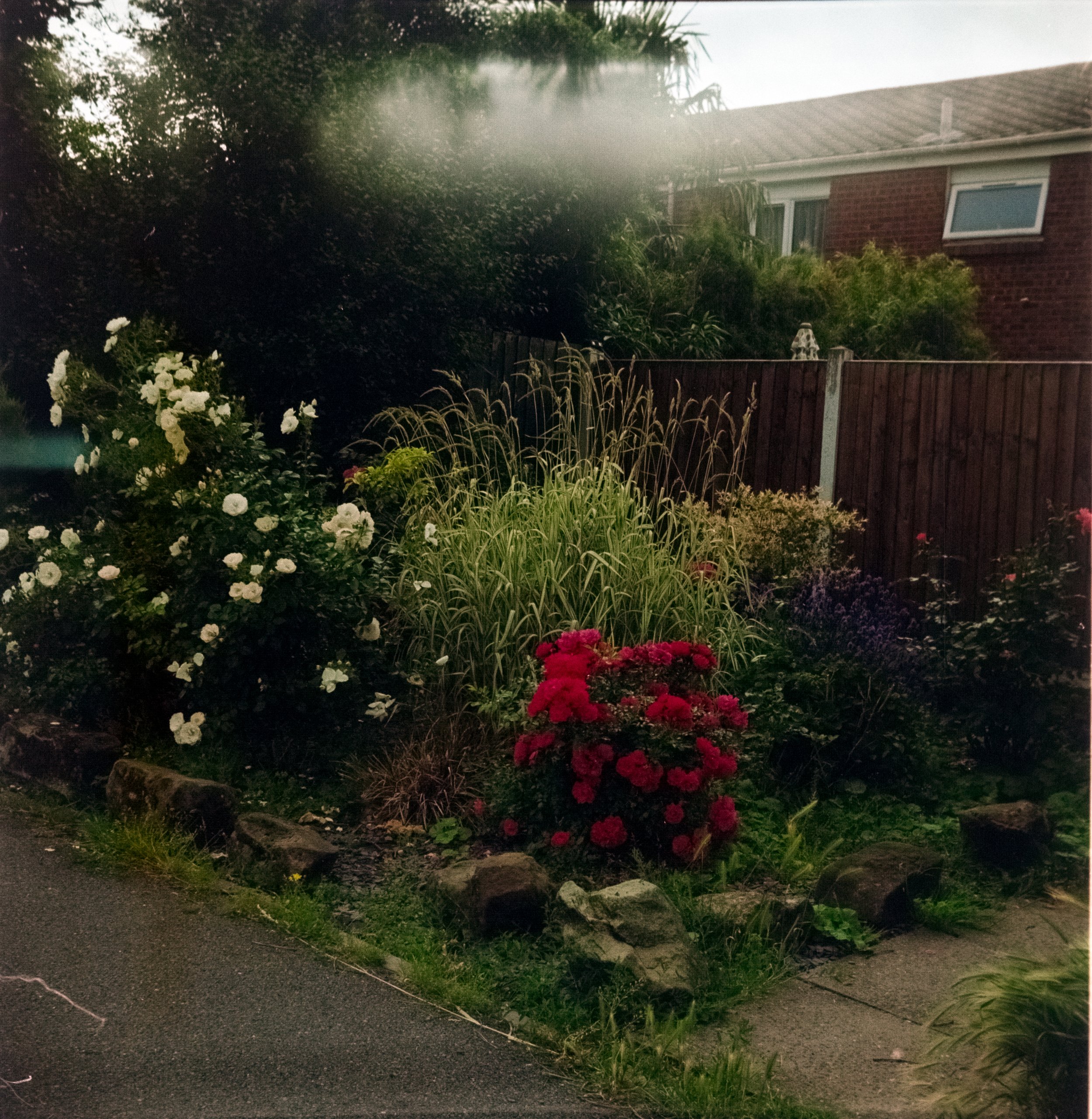 DSCF0289.jpg