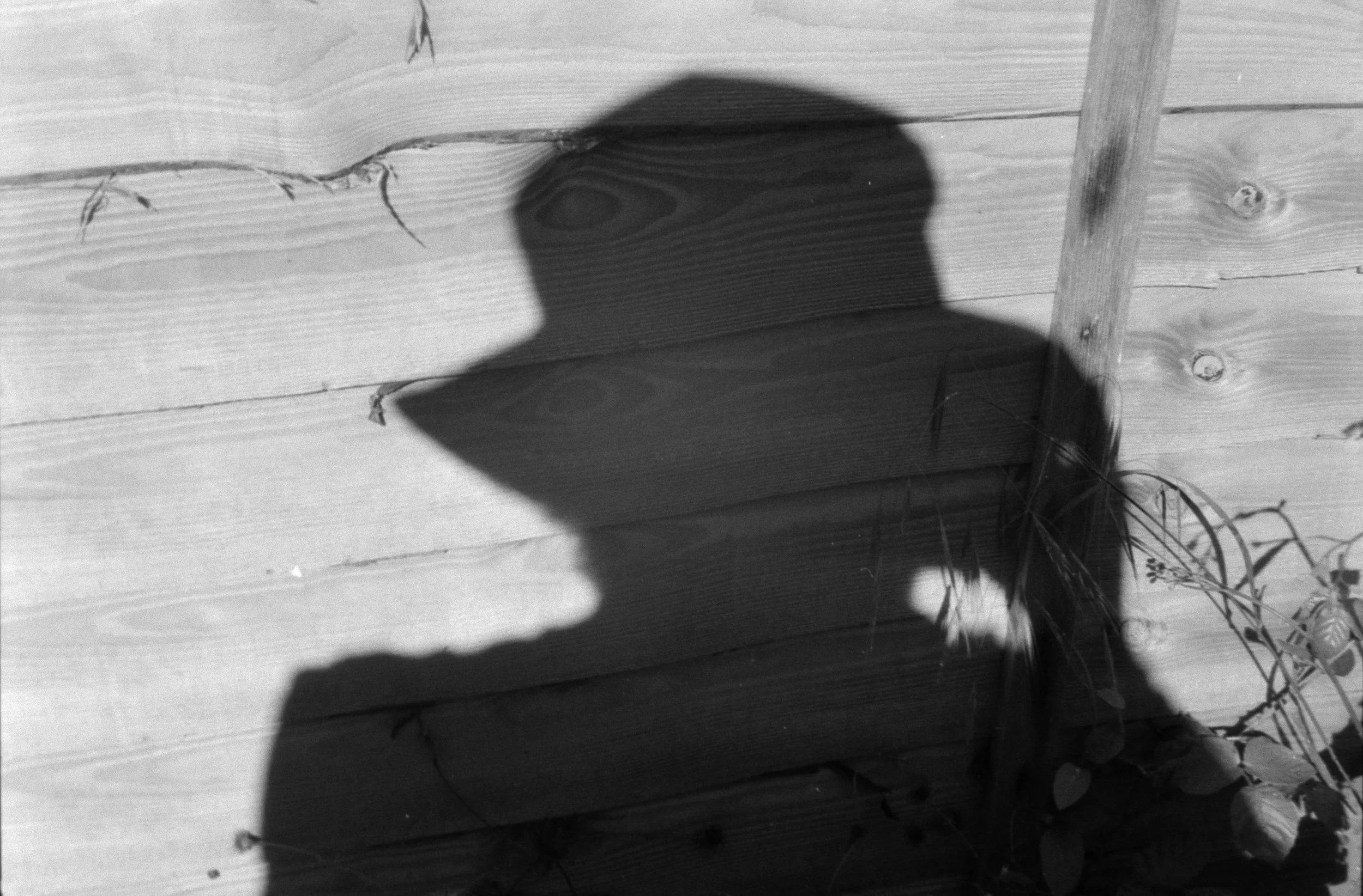Shadow of a person on a wooden outdoor wall, with some plants visible in the foreground.