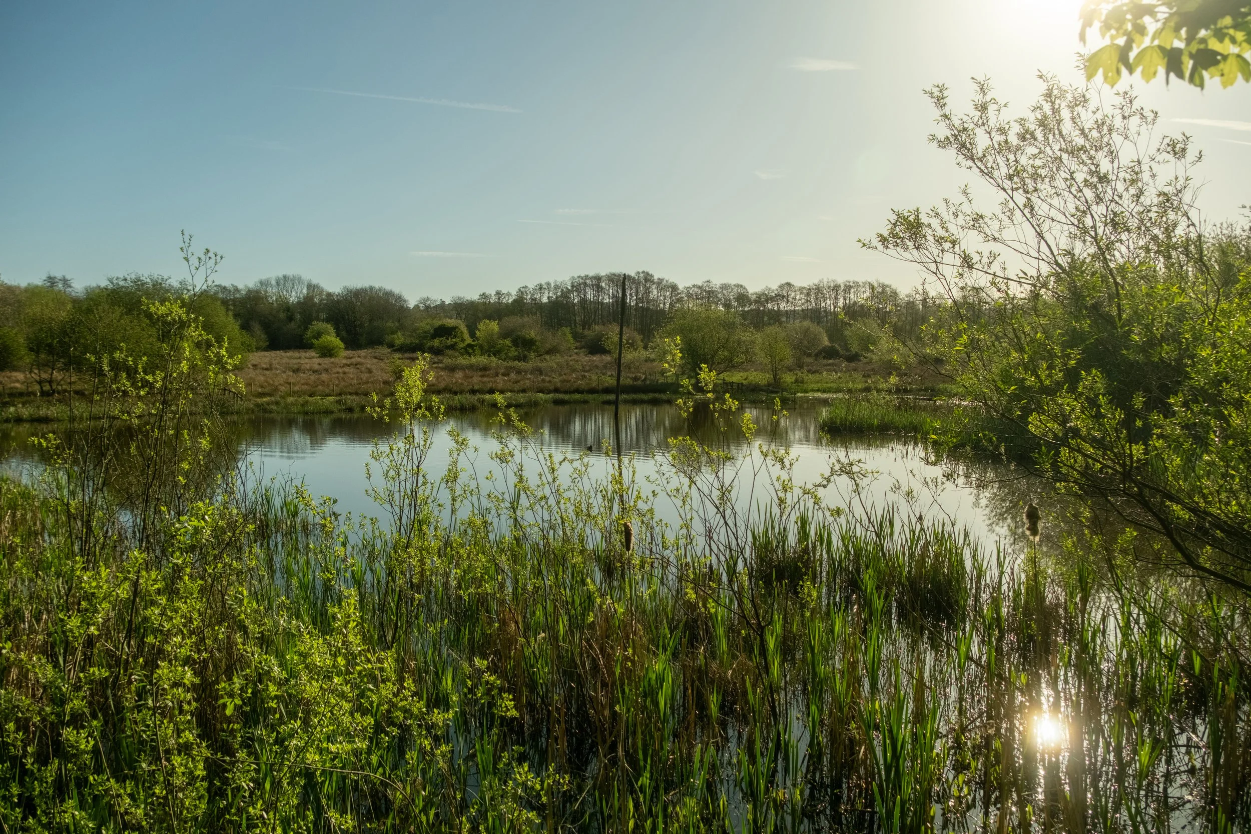 DSCF8575.jpg