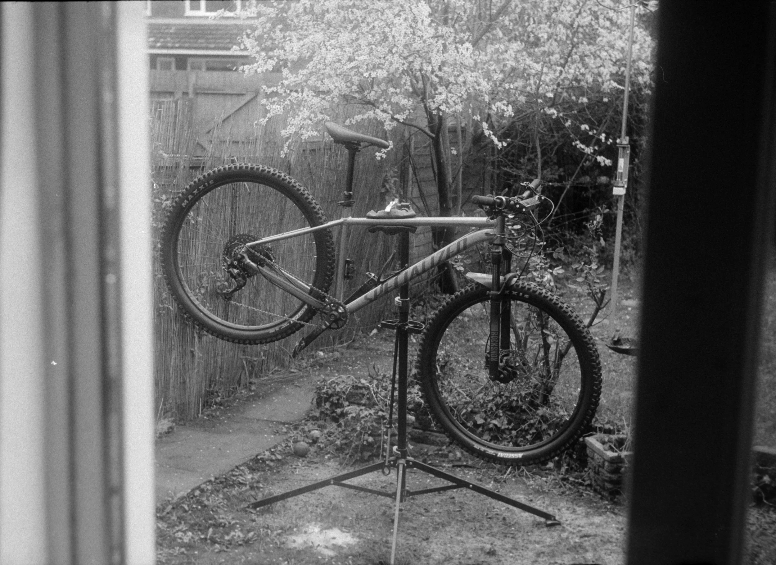 DSCF7542.jpg