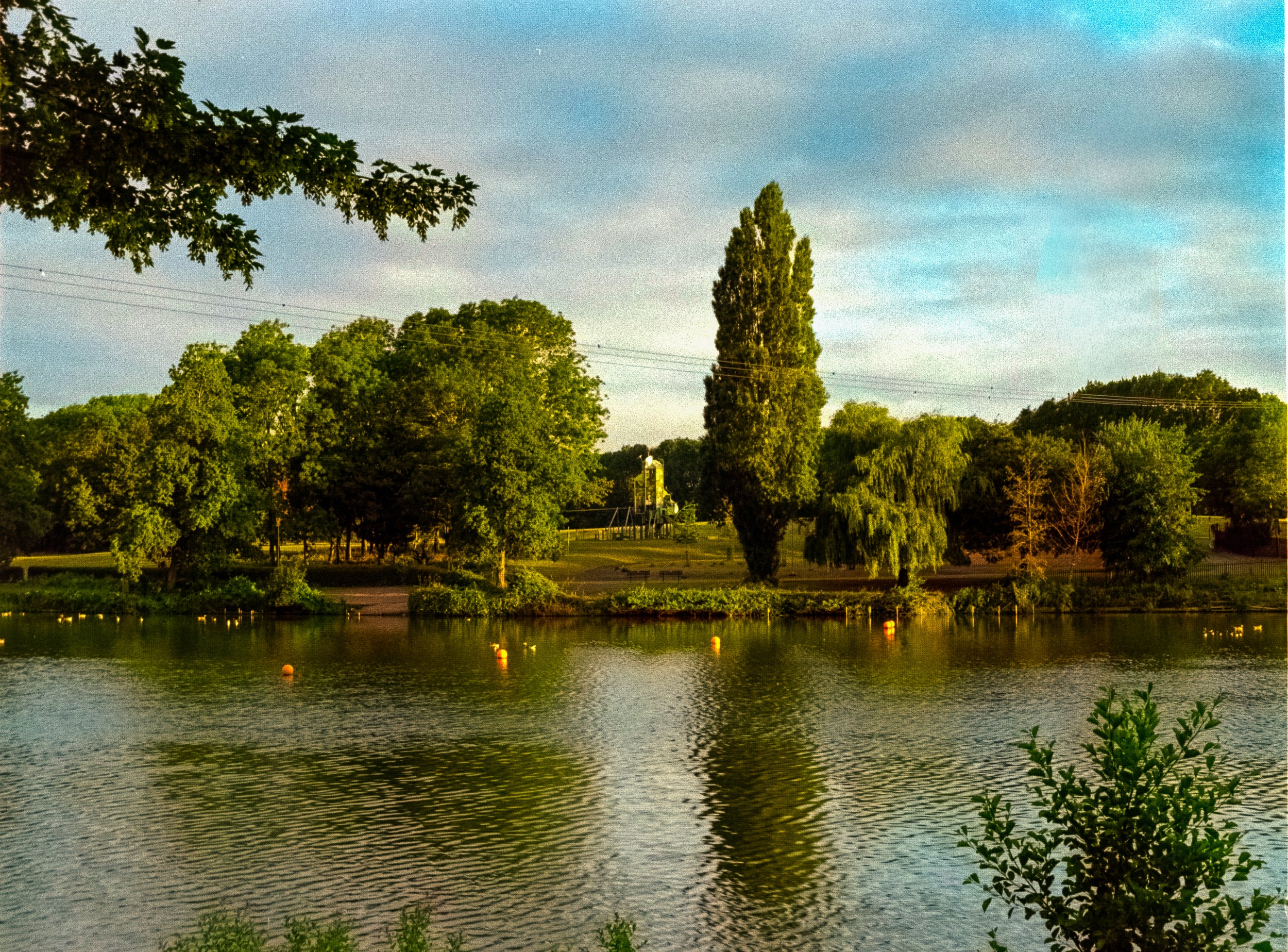 DSCF0397.jpg