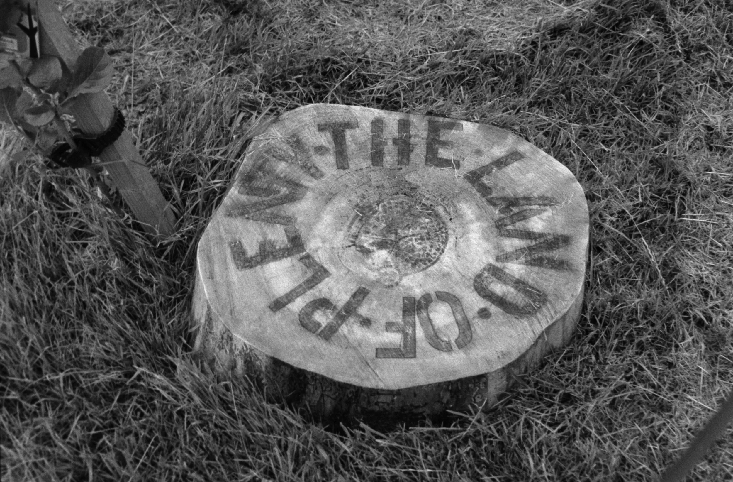 A broken clock face lying on the grass with visible numbers and hands, and a small wooden sign with some attached objects near it.