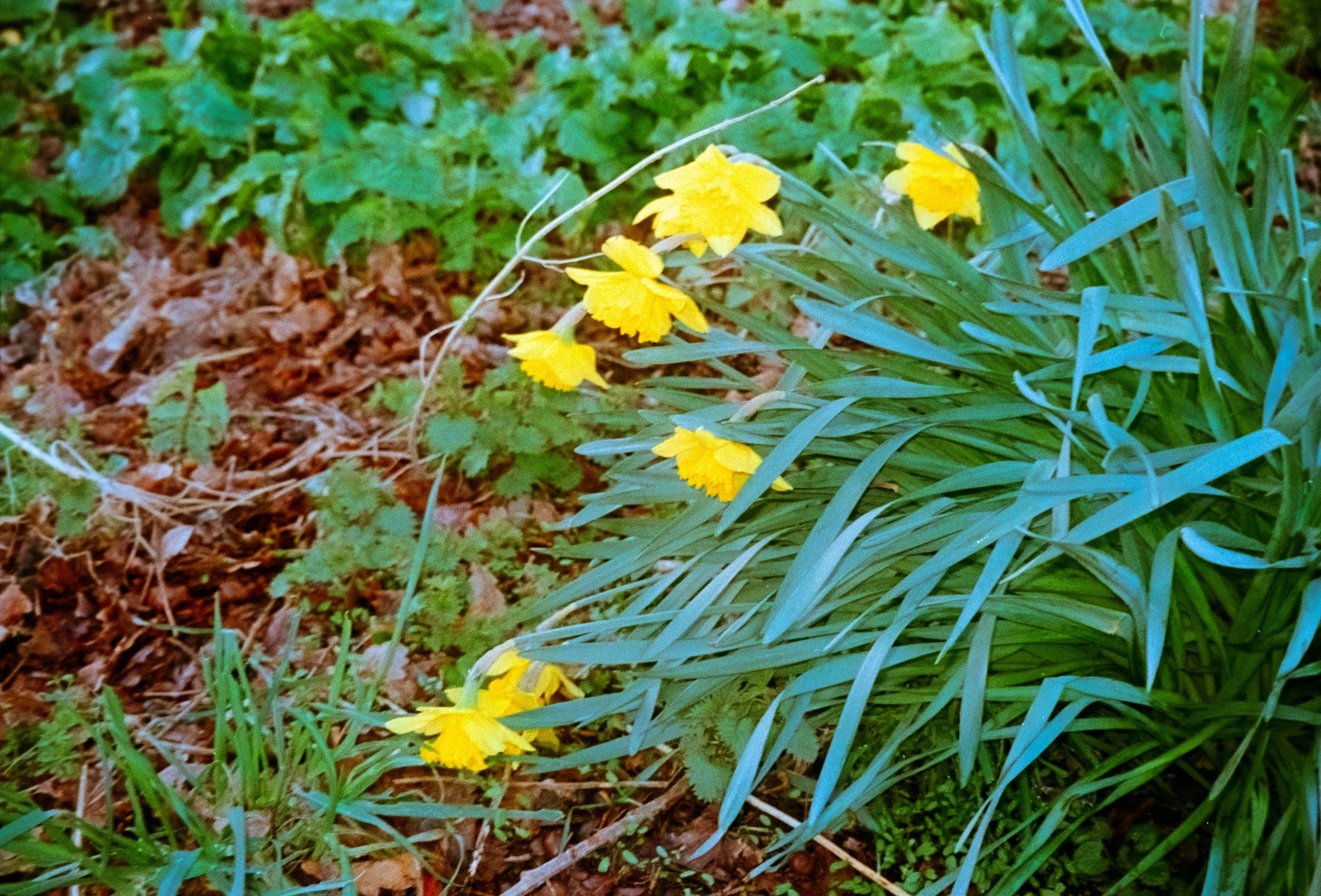 DSCF7598.jpg