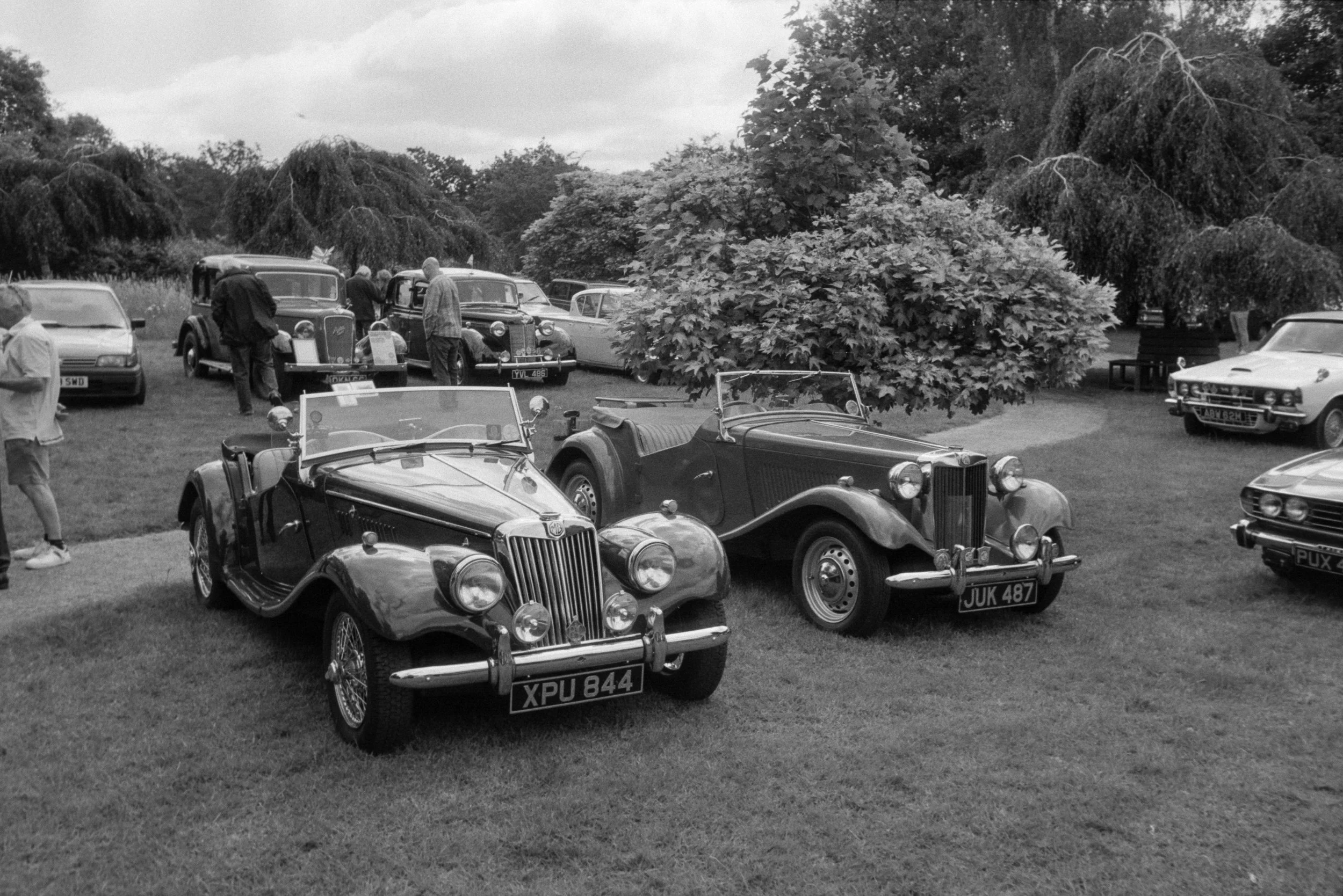 A black and white photo of vintage cars on display in a park with people walking around and trees in the background.