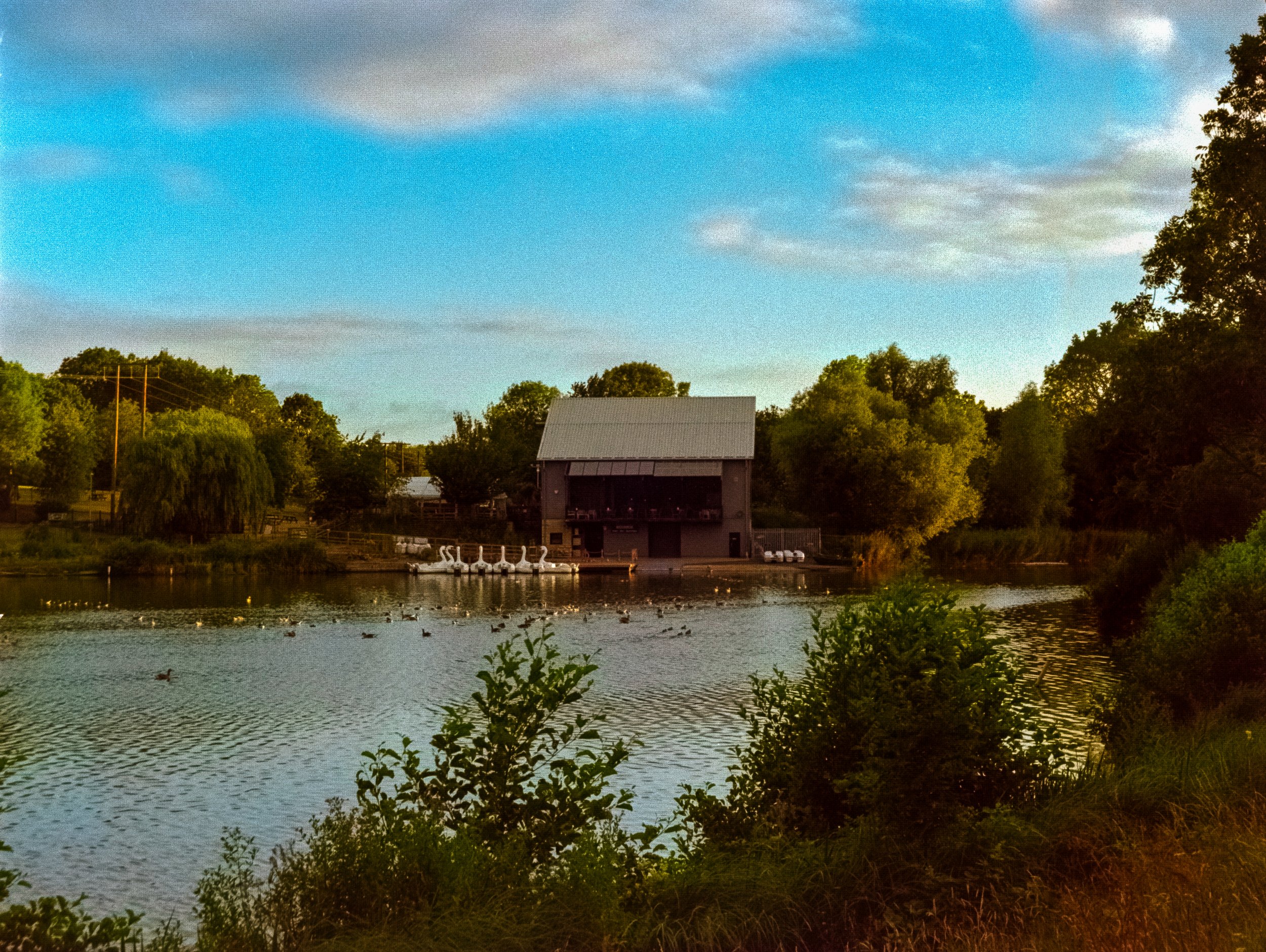 DSCF0396.jpg