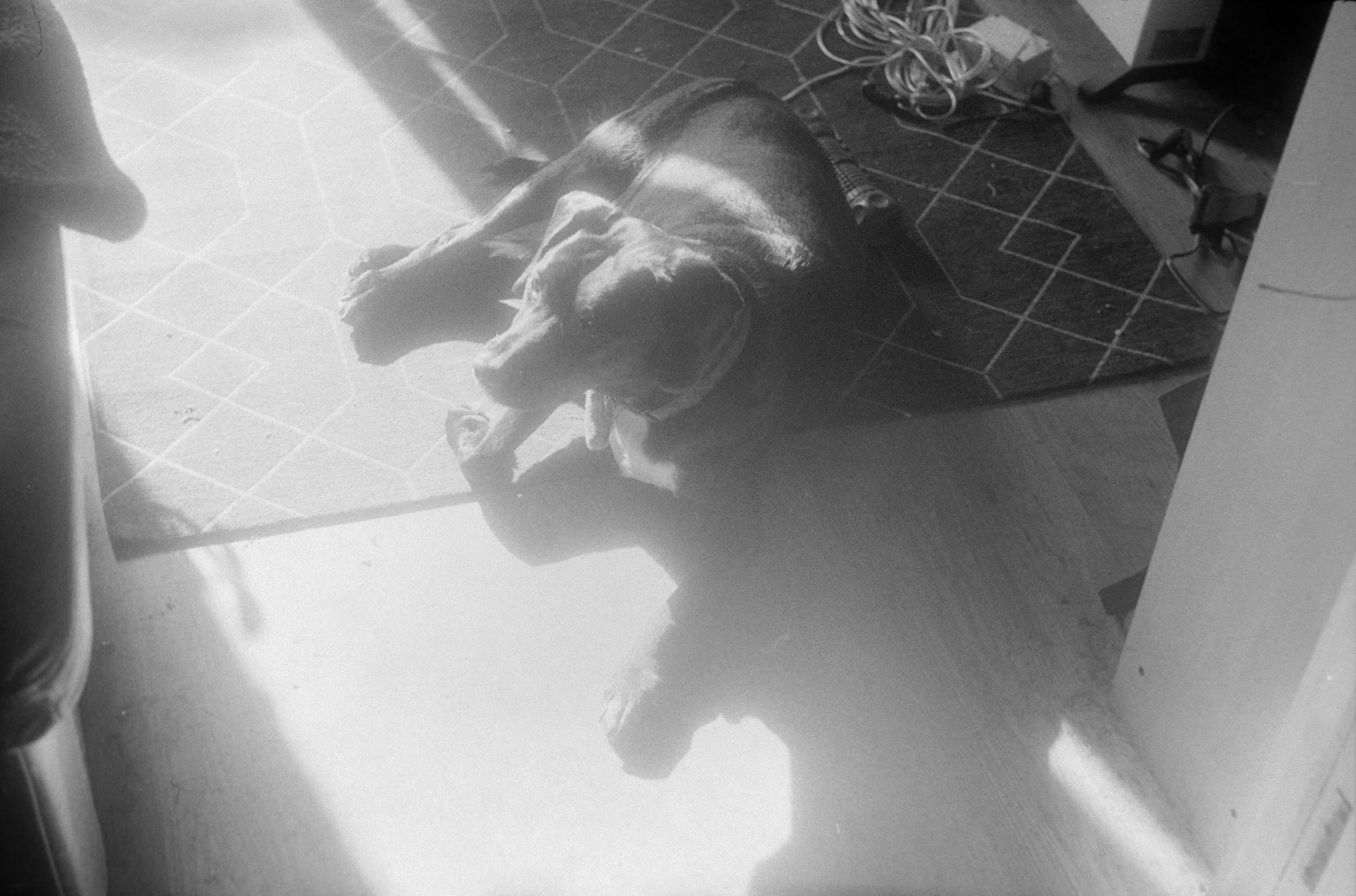 DSCF7549.jpg
