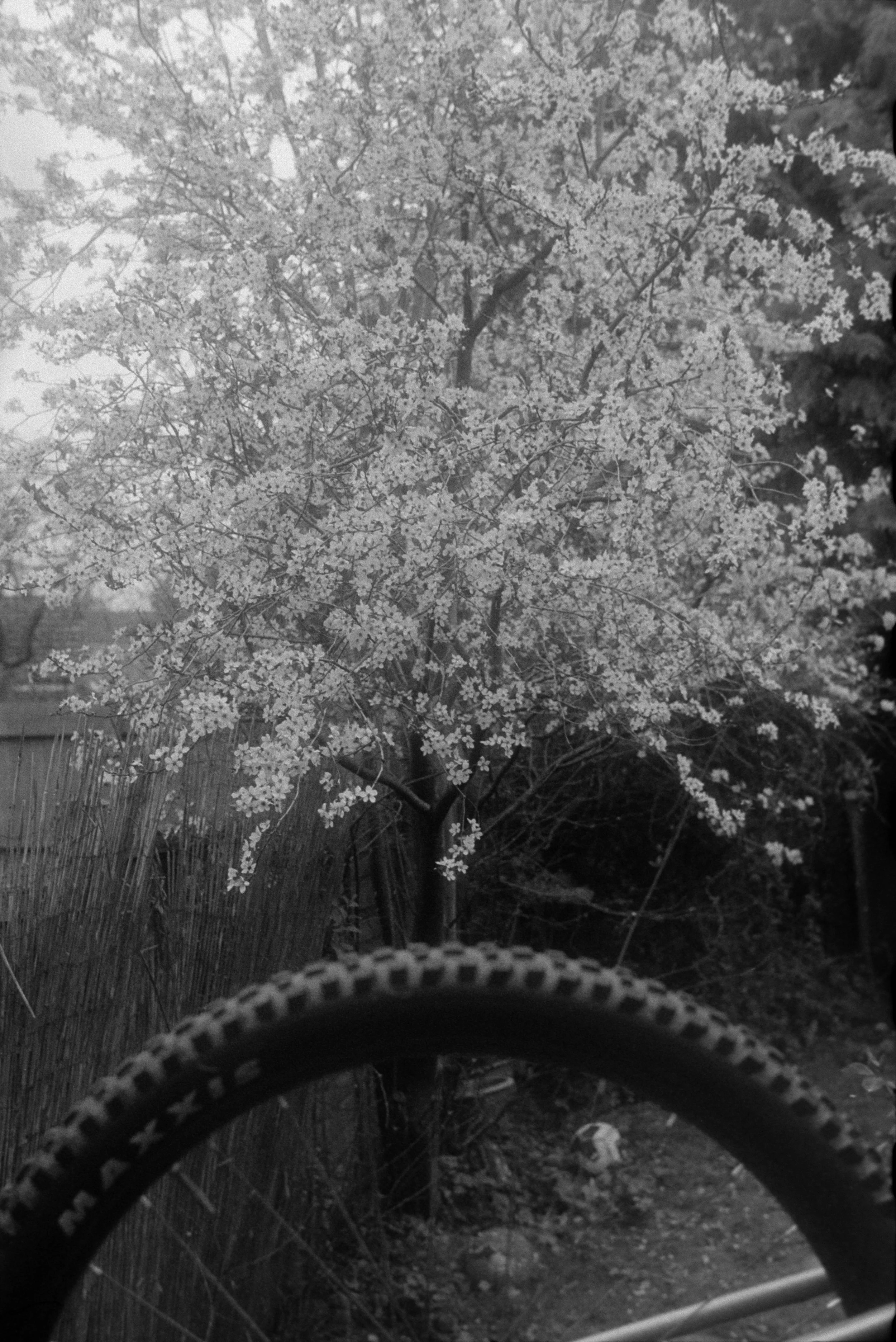DSCF7544.jpg
