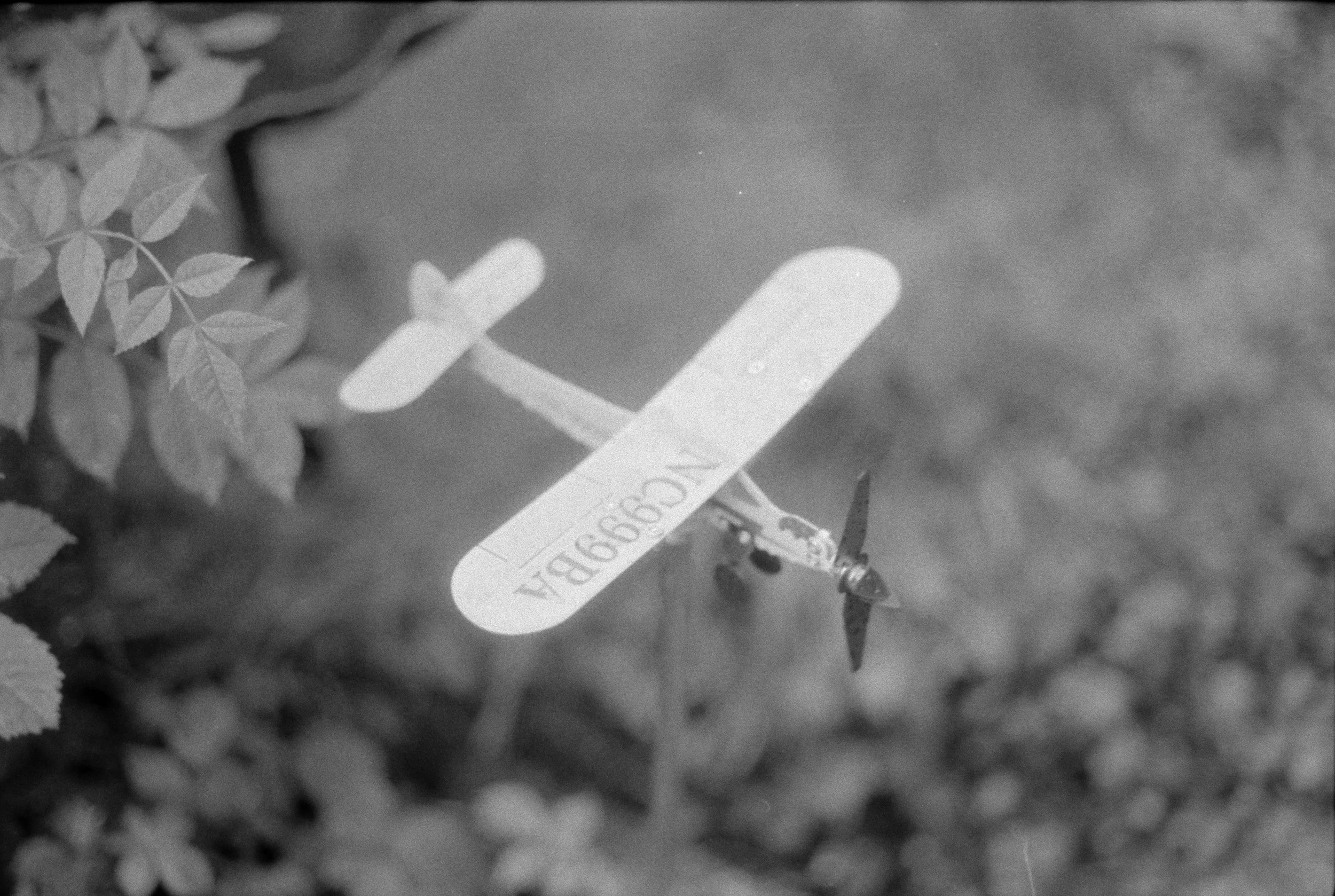 A small syringe with a needle against a background of leaves and a paper tag, all in black and white.