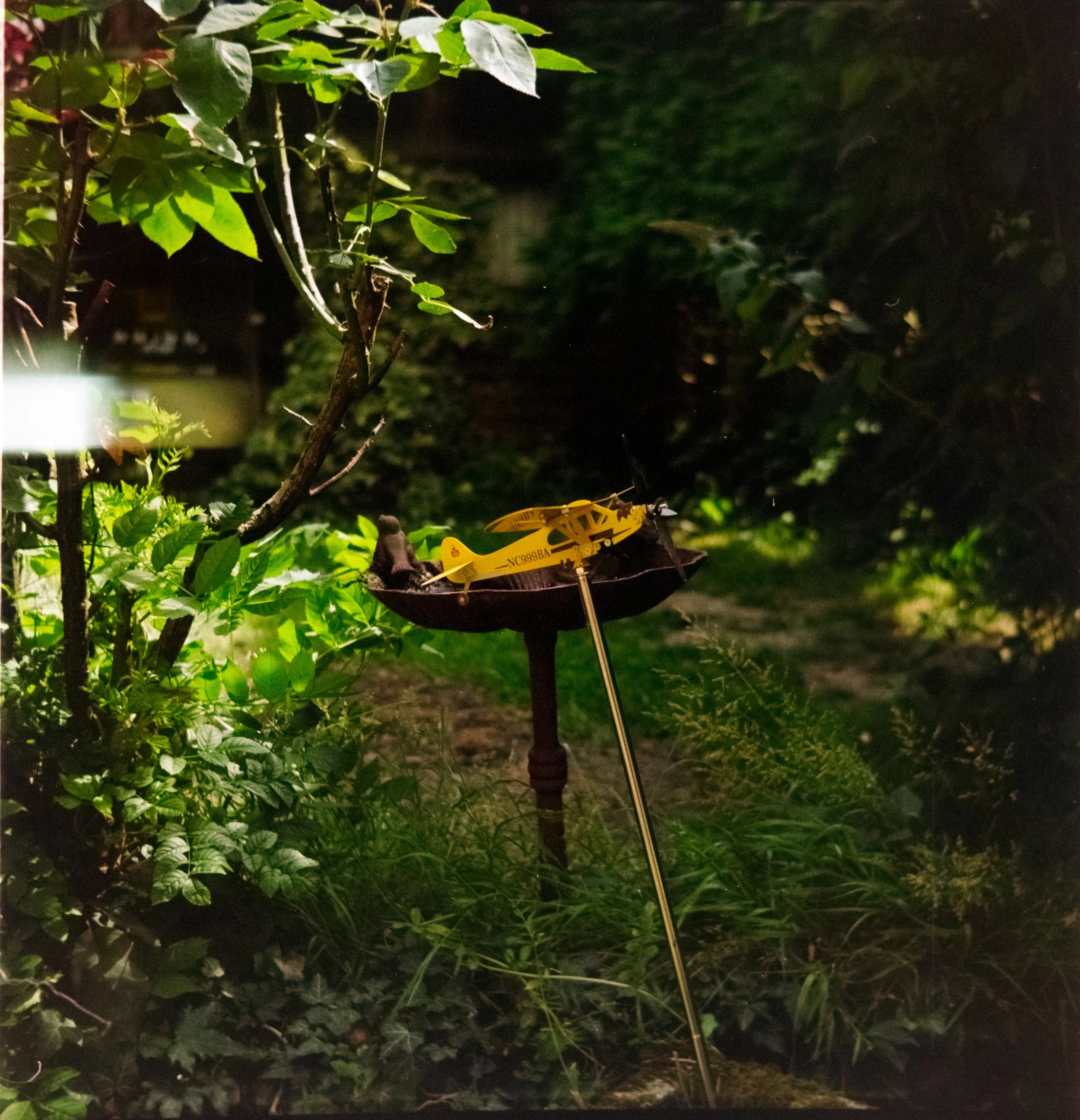 DSCF0293.jpg