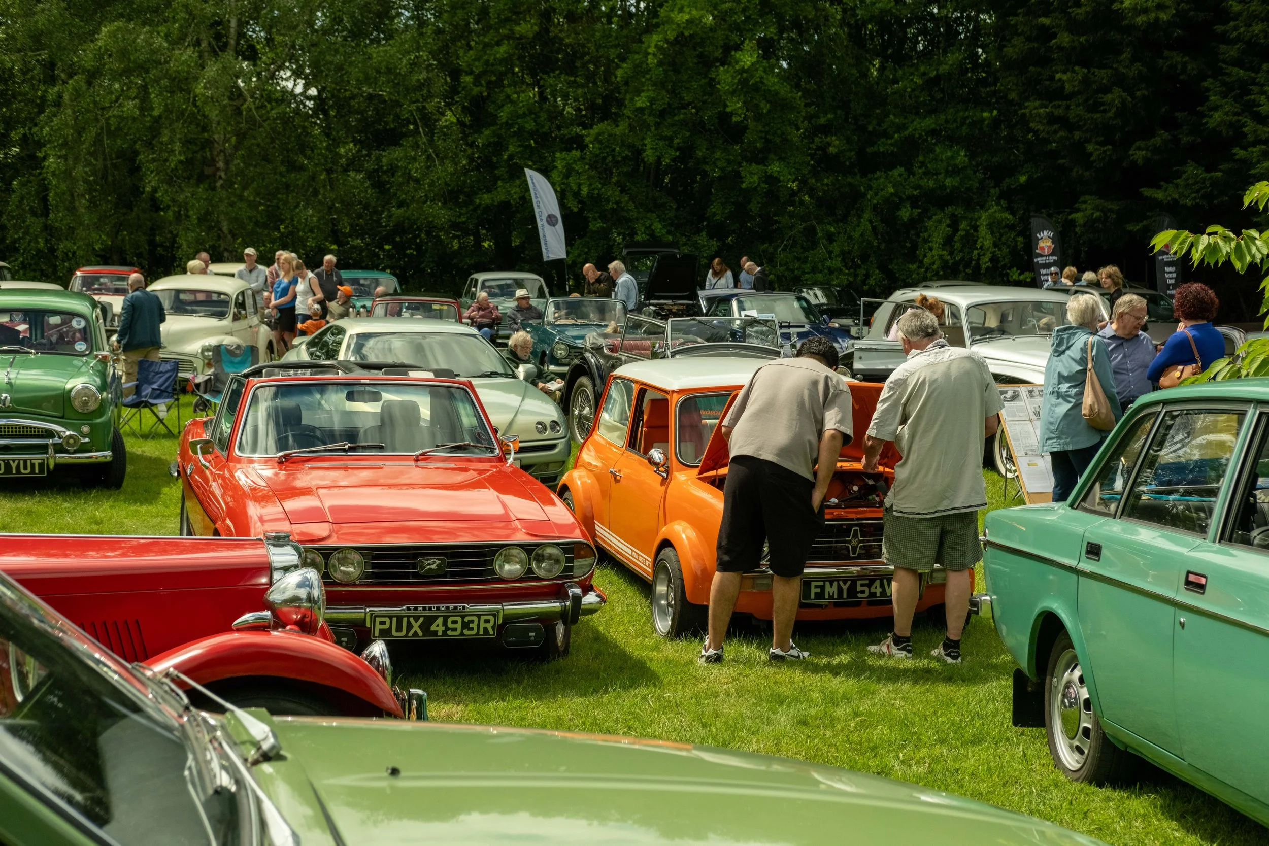 A gathering of vintage cars displayed on a grassy field with people walking around and inspecting the vehicles, trees in the background.