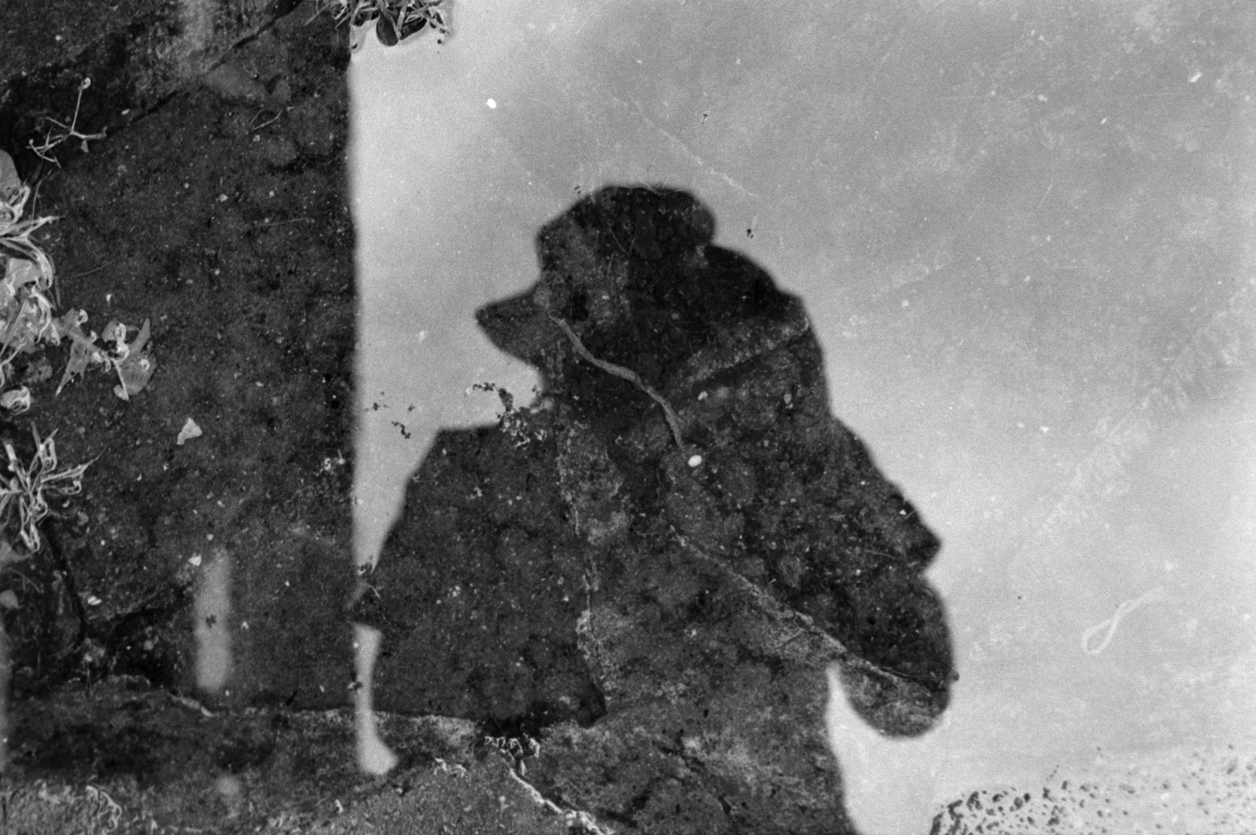 A shadow of a person taking a photograph is reflected in a dirty puddle on the ground, surrounded by soil and some small plant debris.