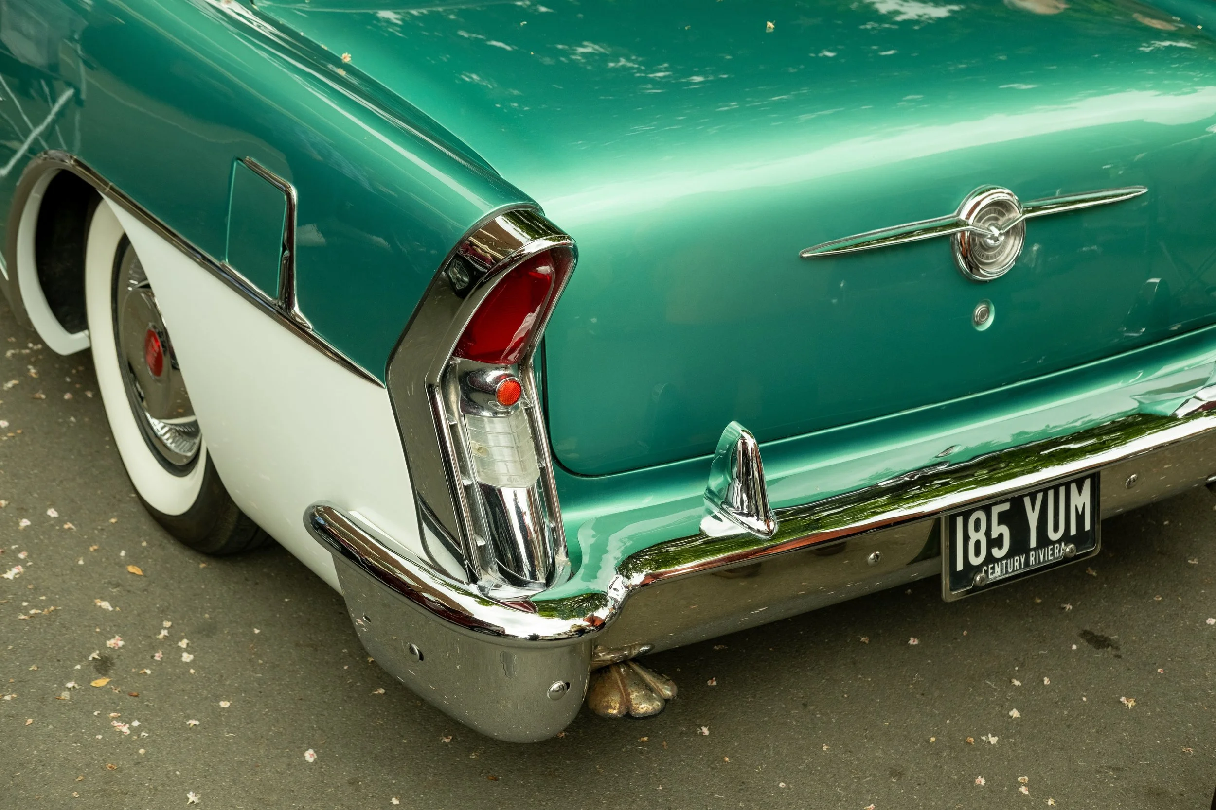 DSCF9467.jpg