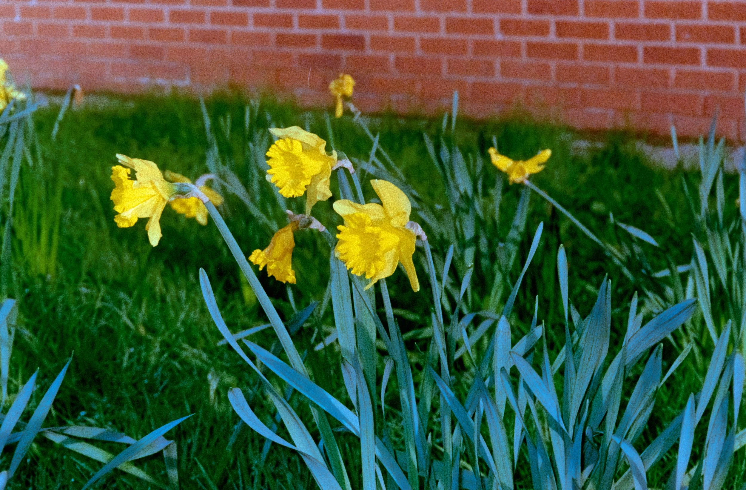 DSCF7601.jpg