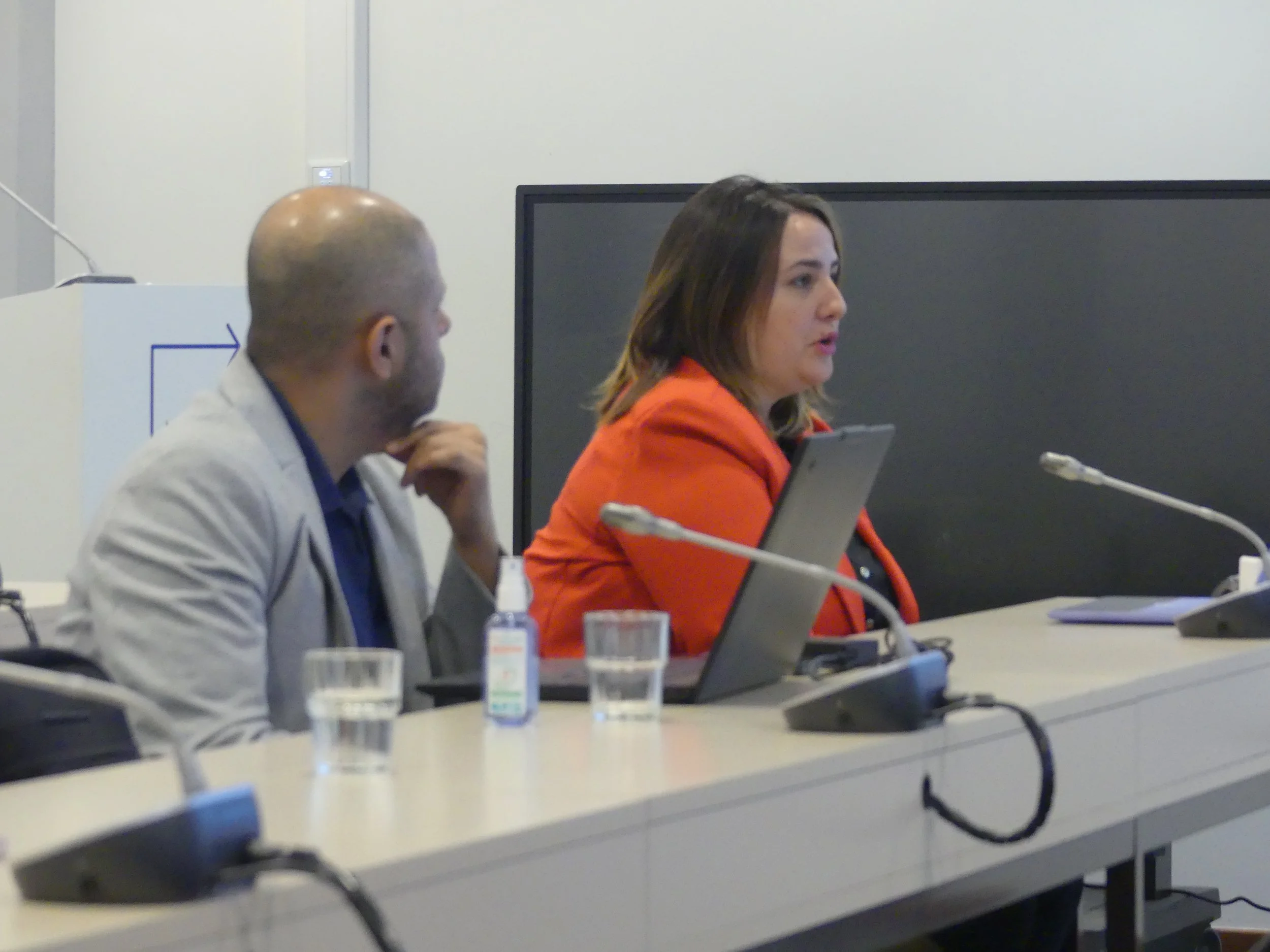 Giulia Renzi outlining the next steps of the KEYSTONE project.