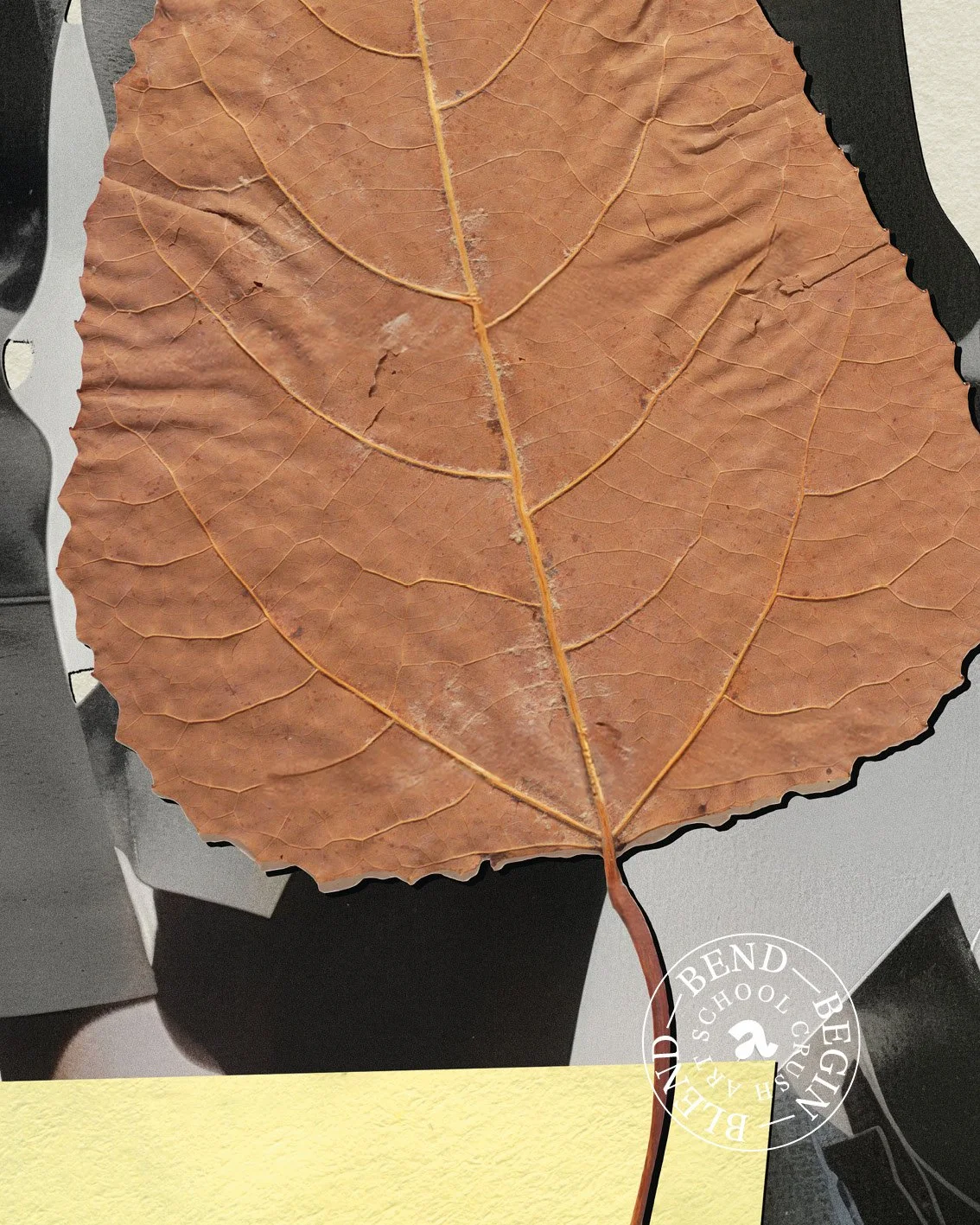 240507_Autumn’s Imprint9.jpg