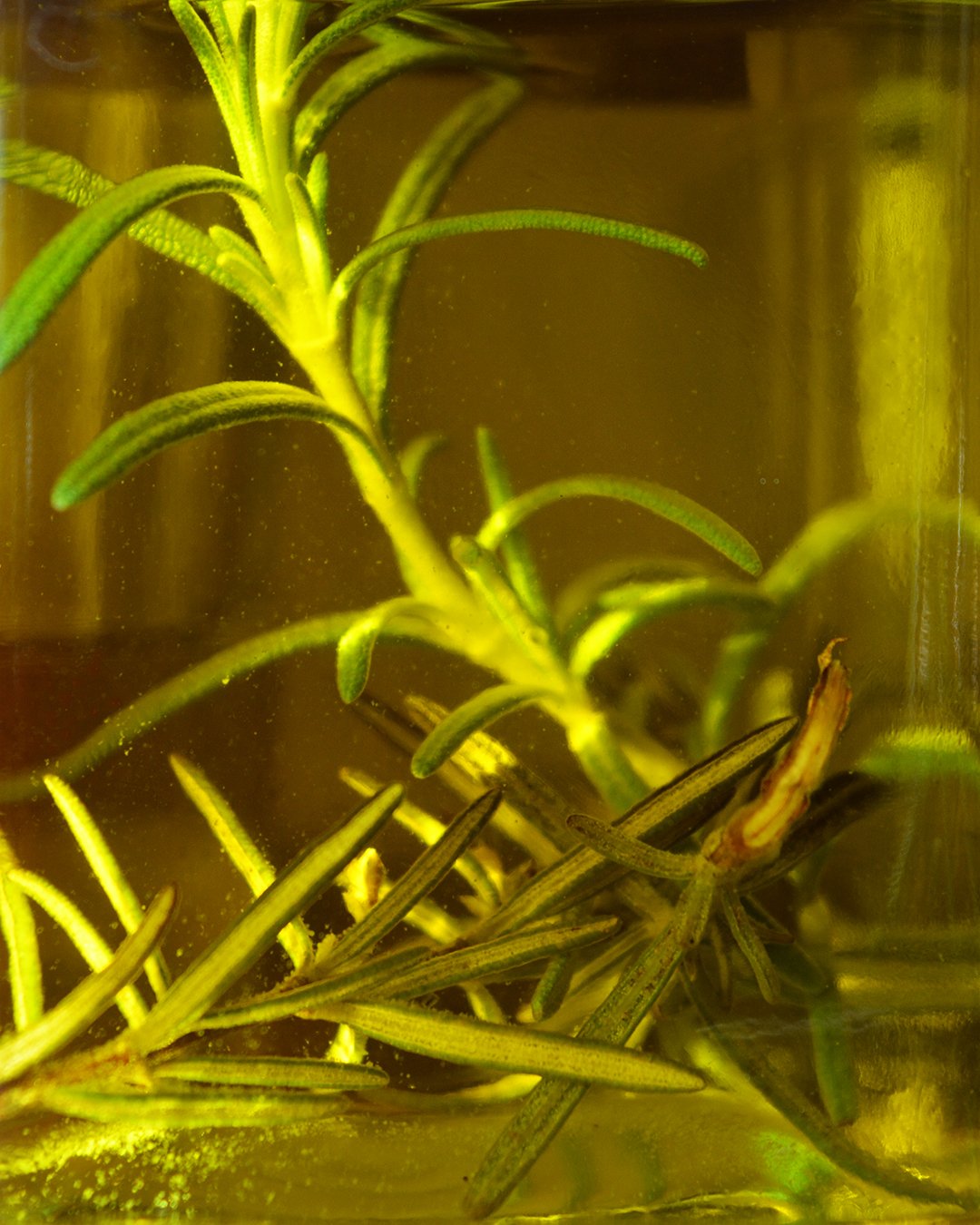 Aoves aromatizados (en frío)