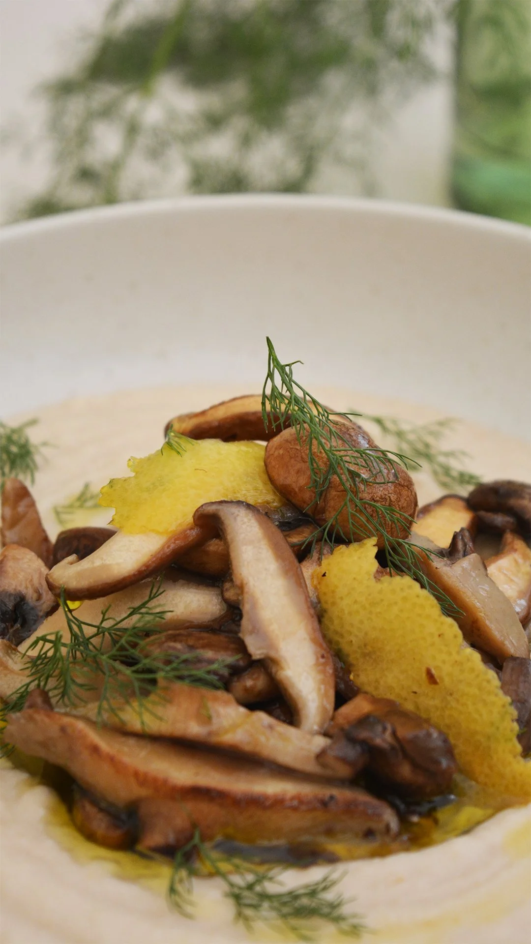 Puré de alubias blancas, setas y Aove