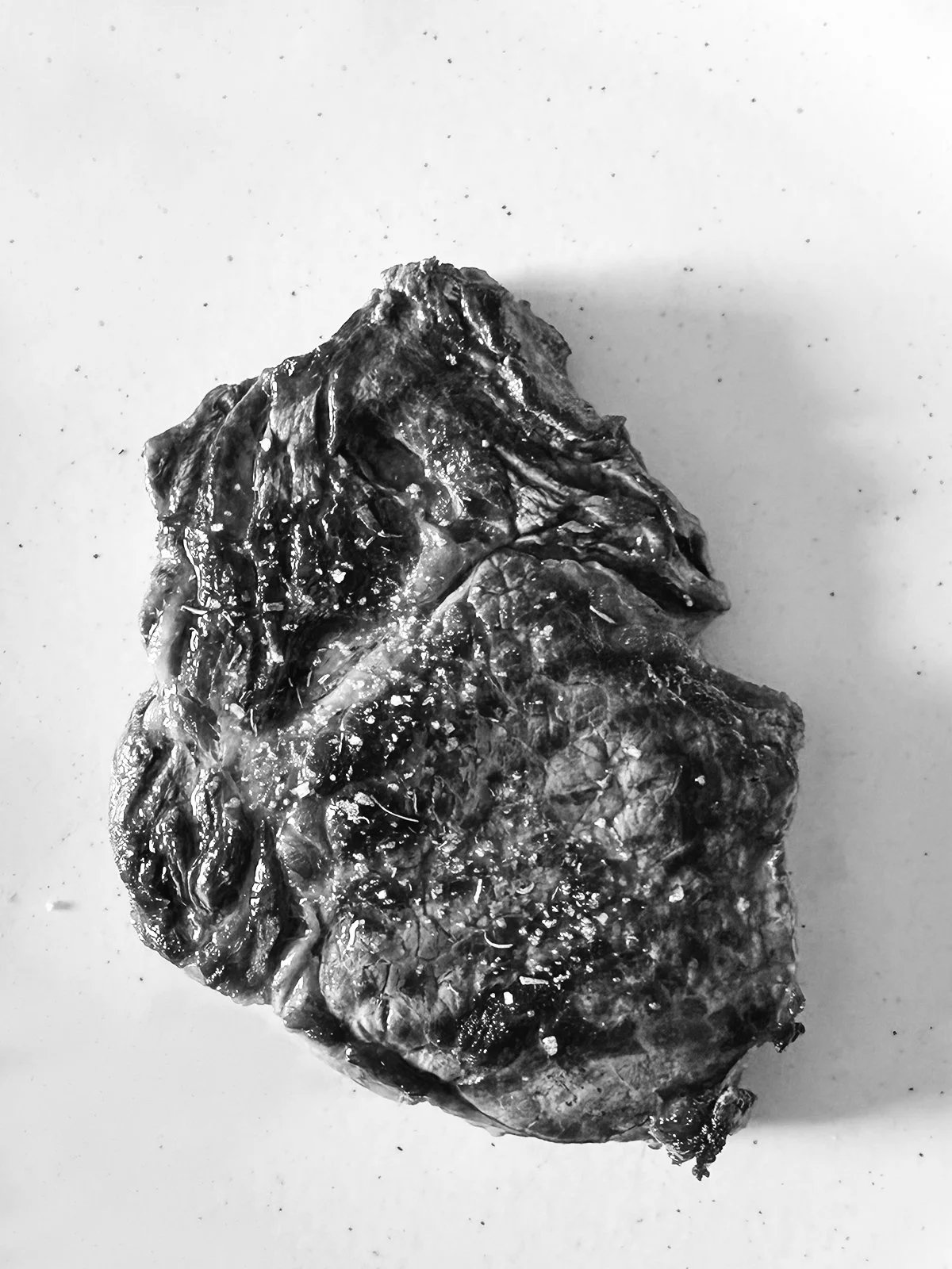 carne blanco y negro4.jpg