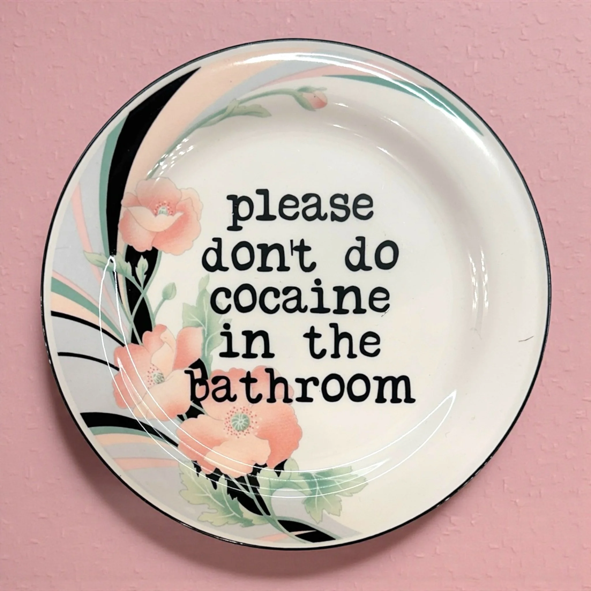 Satirical Plate with a PSA No One Asked For