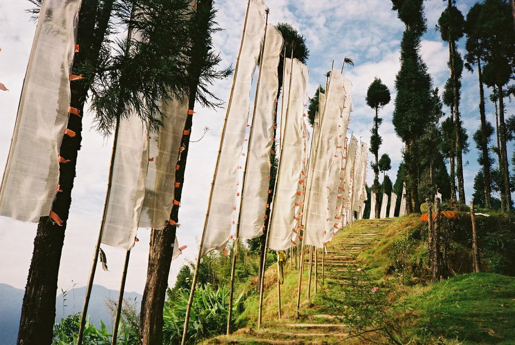India Film Photography-76.jpg