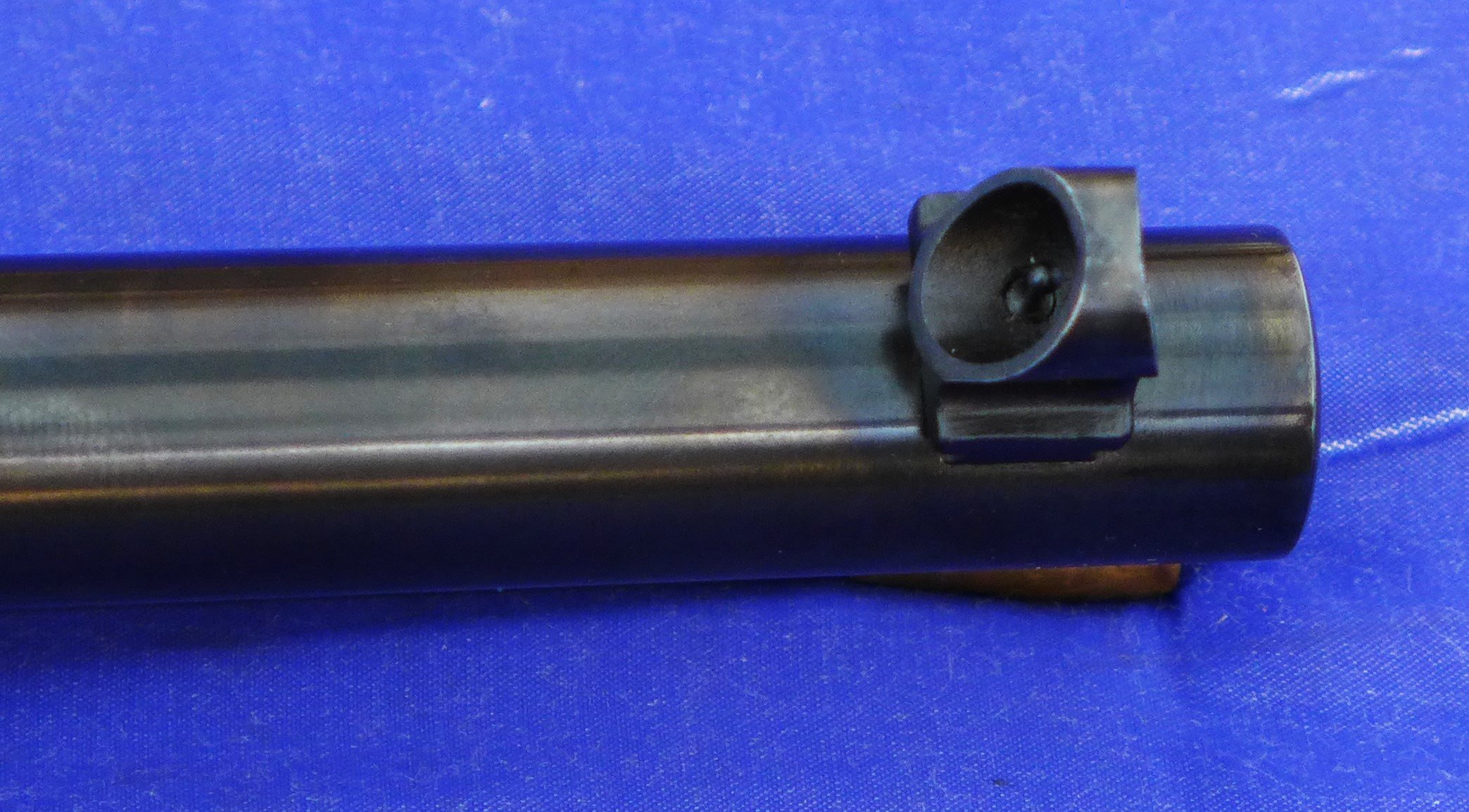 P1100856.JPG