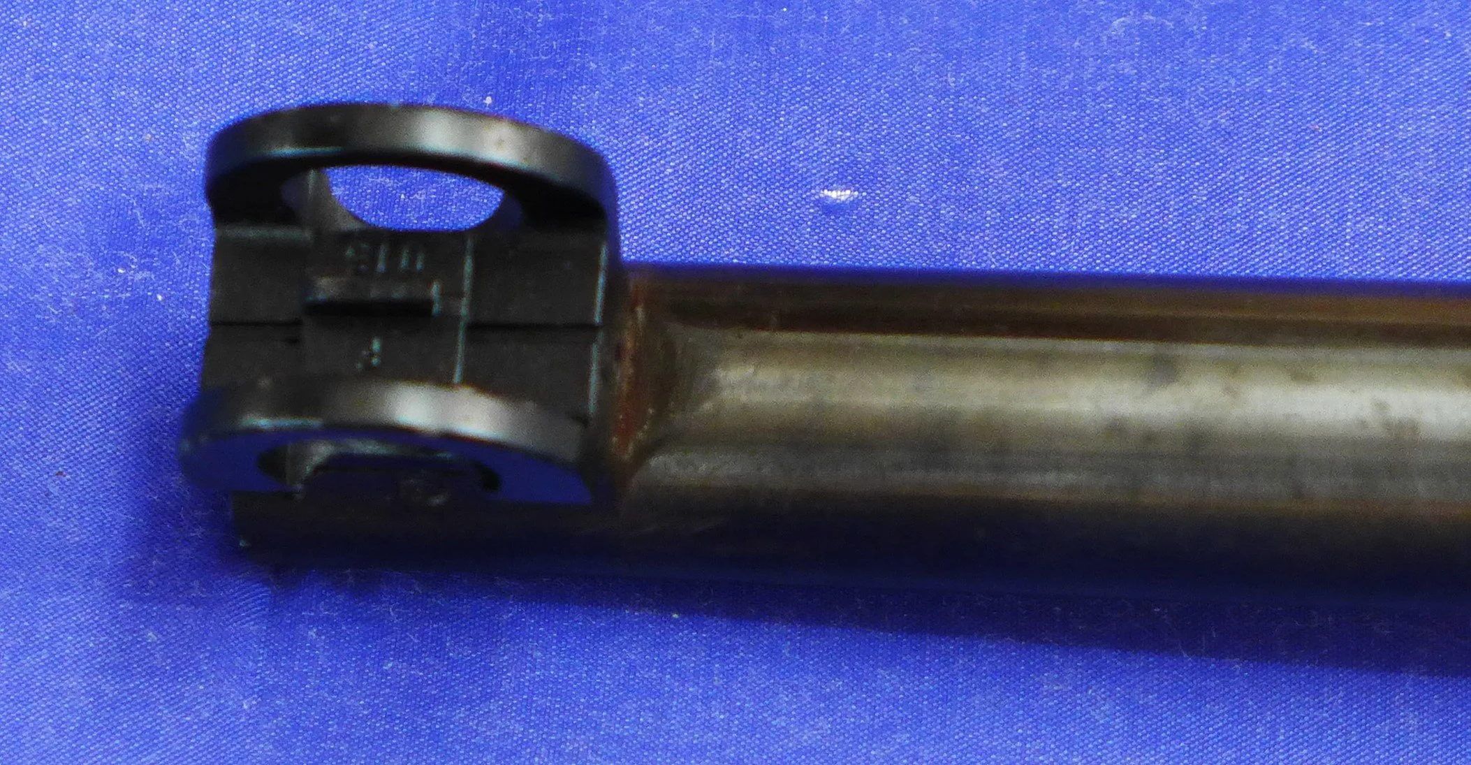 P1100621.JPG