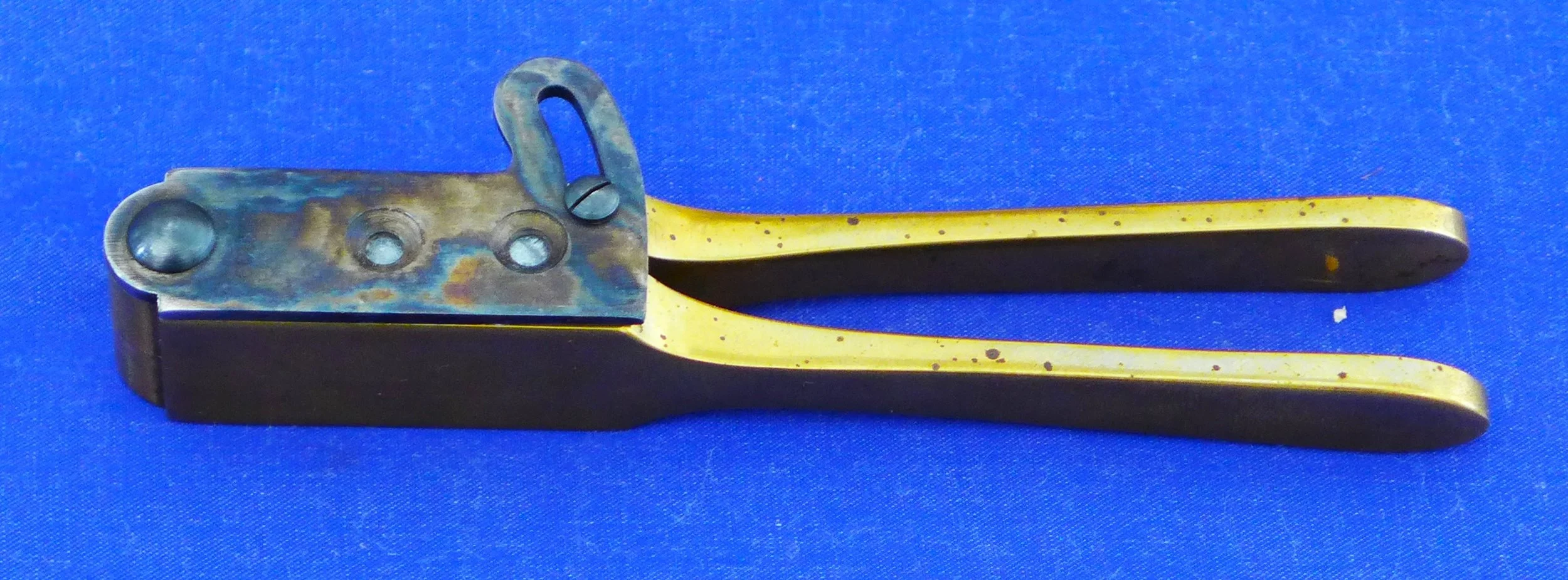 P1100837.JPG