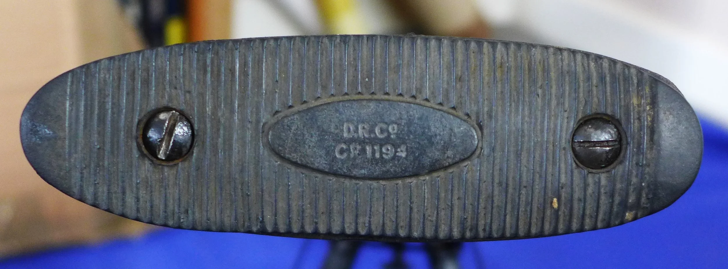 P1100629.JPG