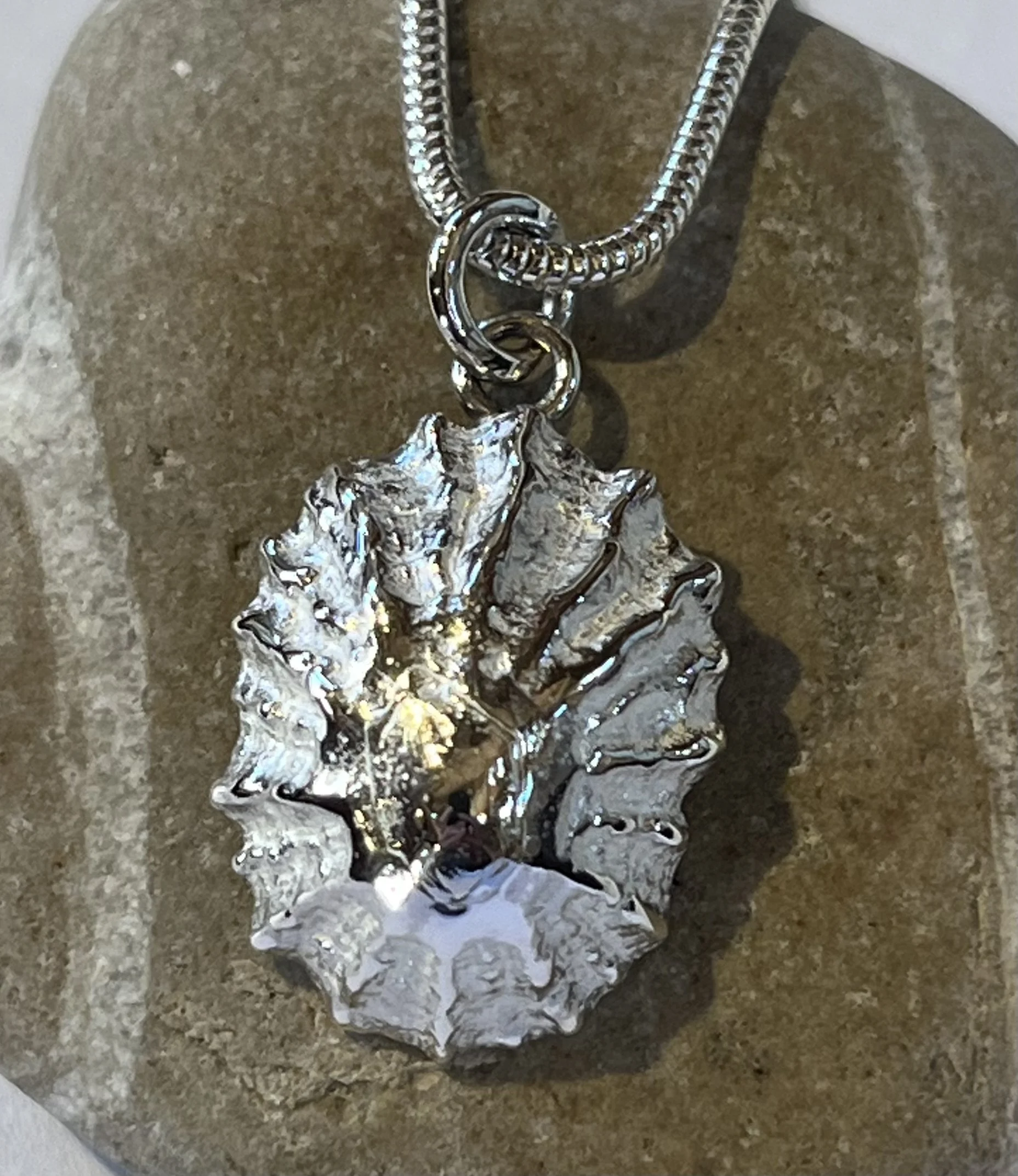 Limpet Shell