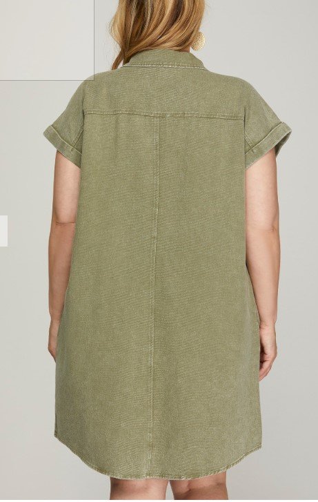 olive 2.jpg