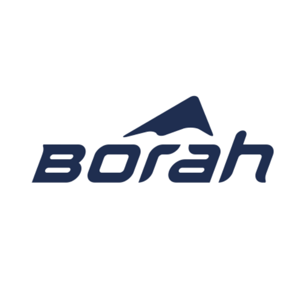 borah logo