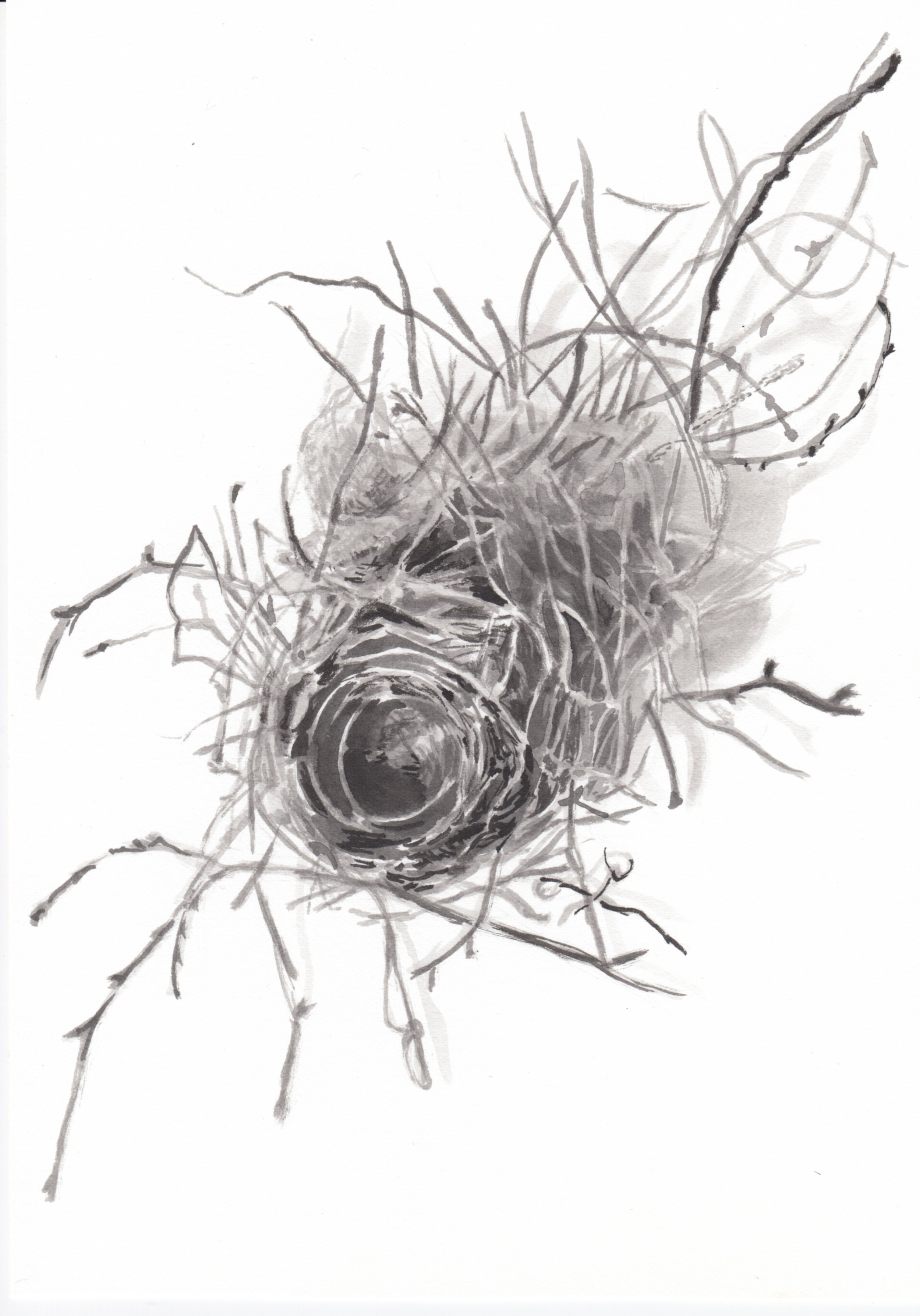 Ink nest Nov A.jpeg