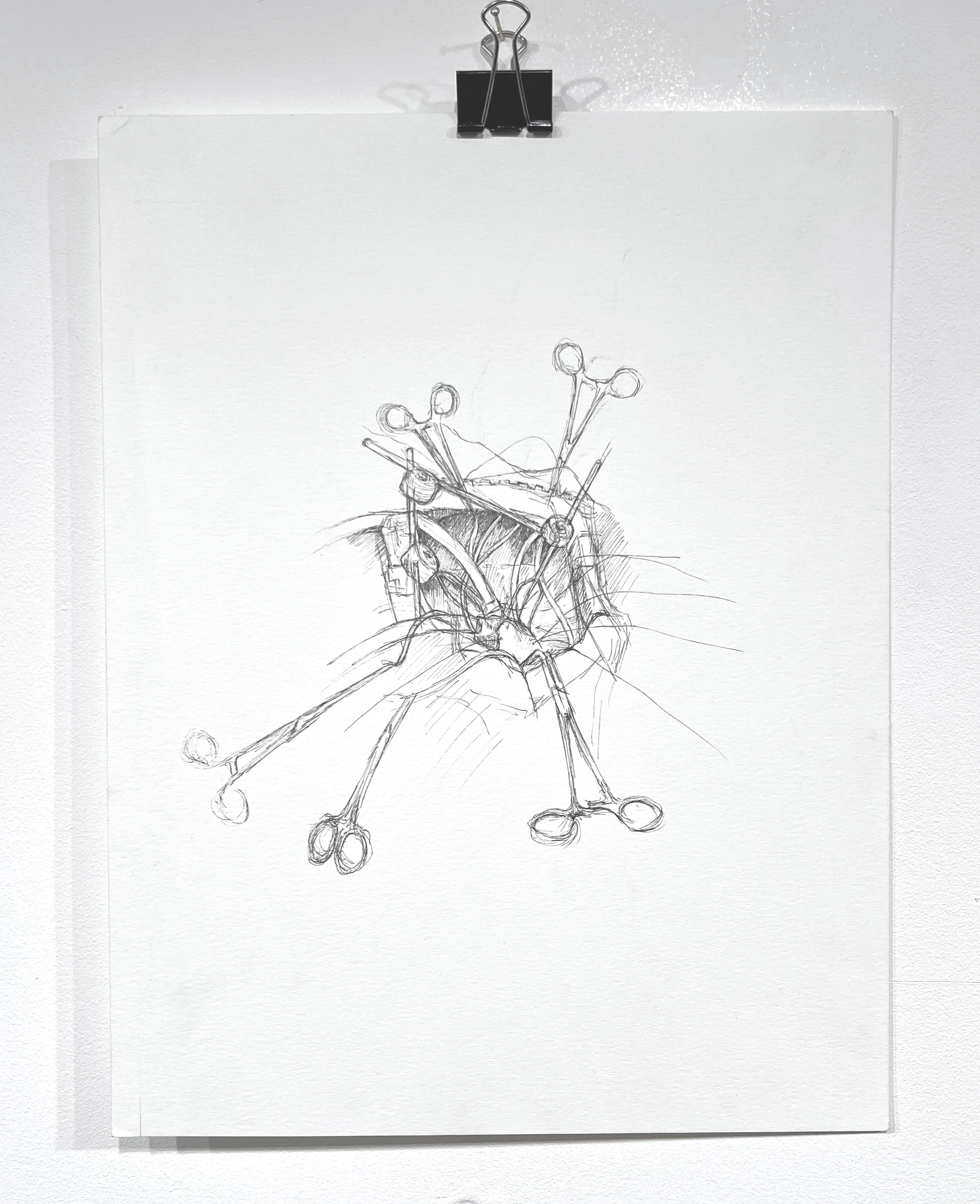 Hunterian+loan+4.png