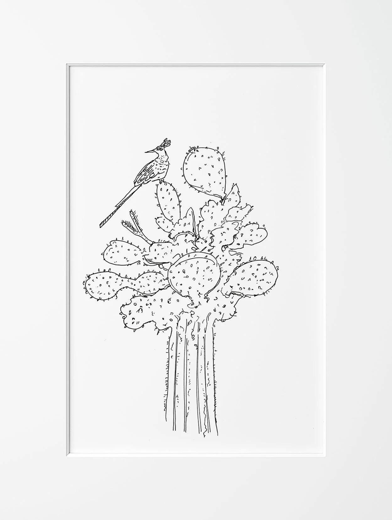 17 Mar 26 cactus with bird framed.jpg