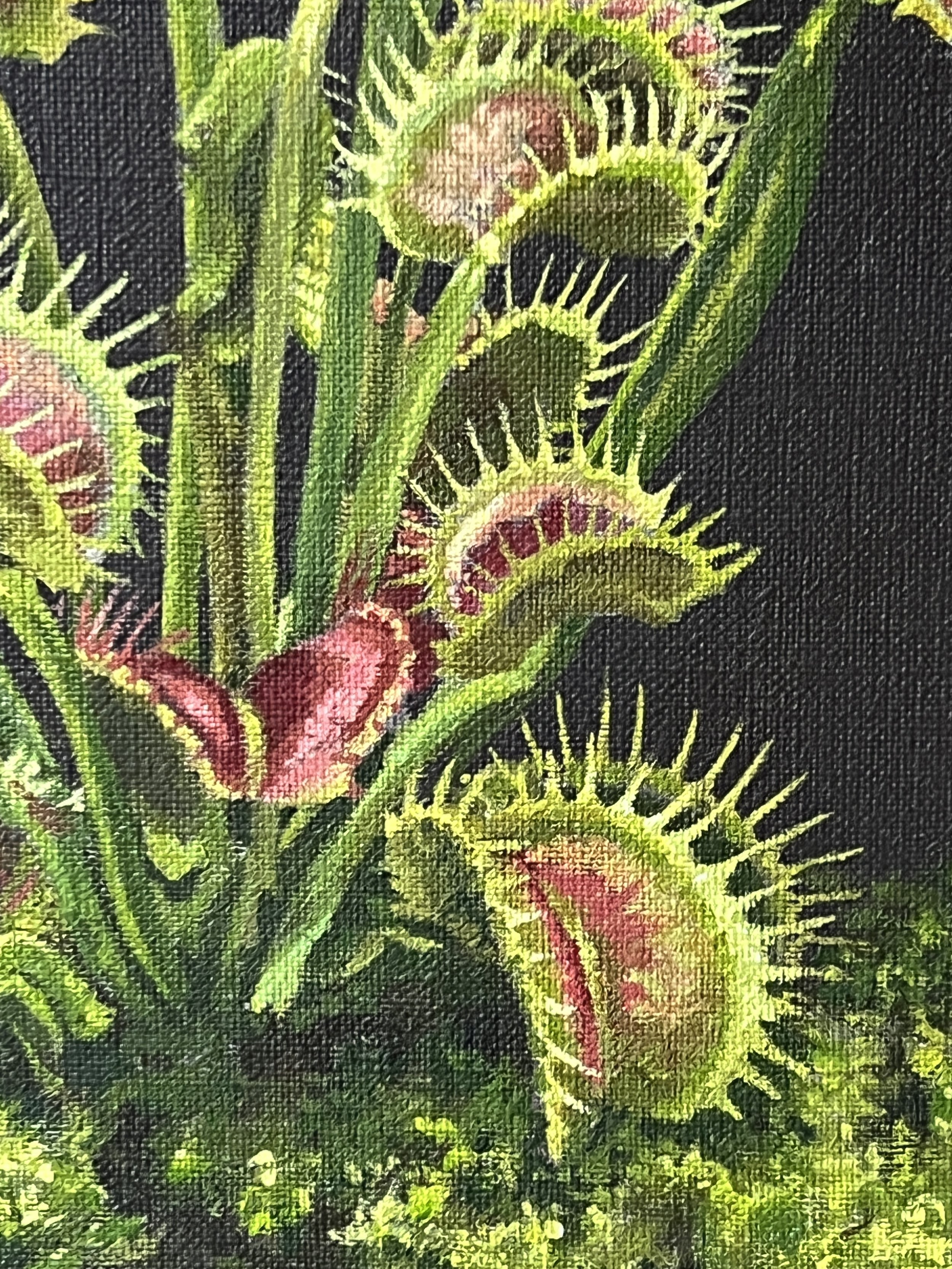 Carnivoria V detail.JPG