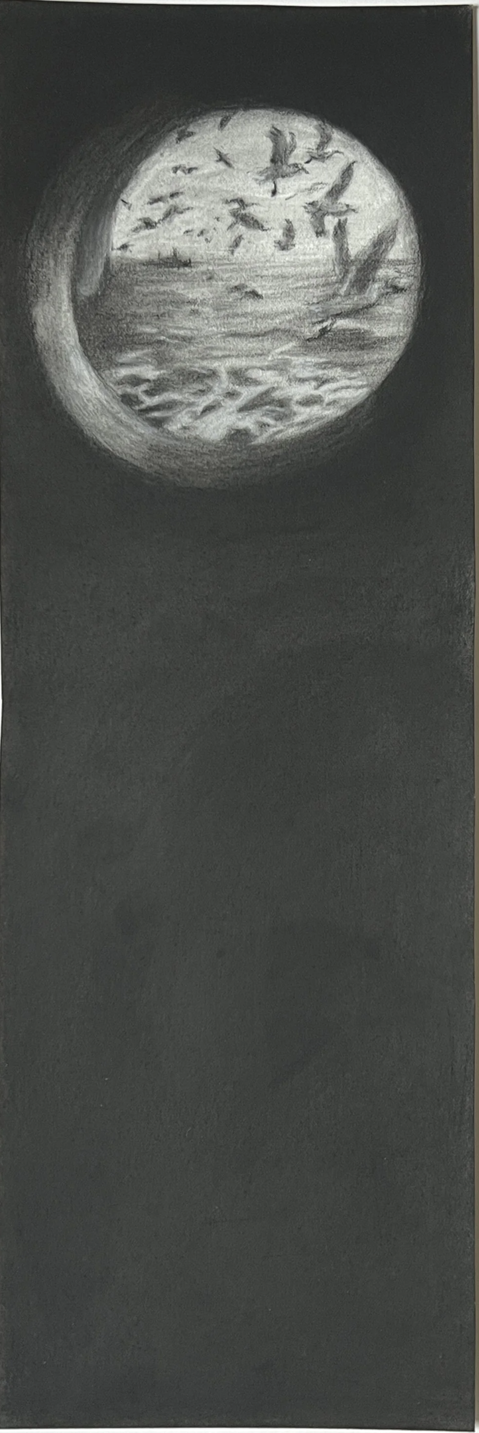 IMG_2210+2.png