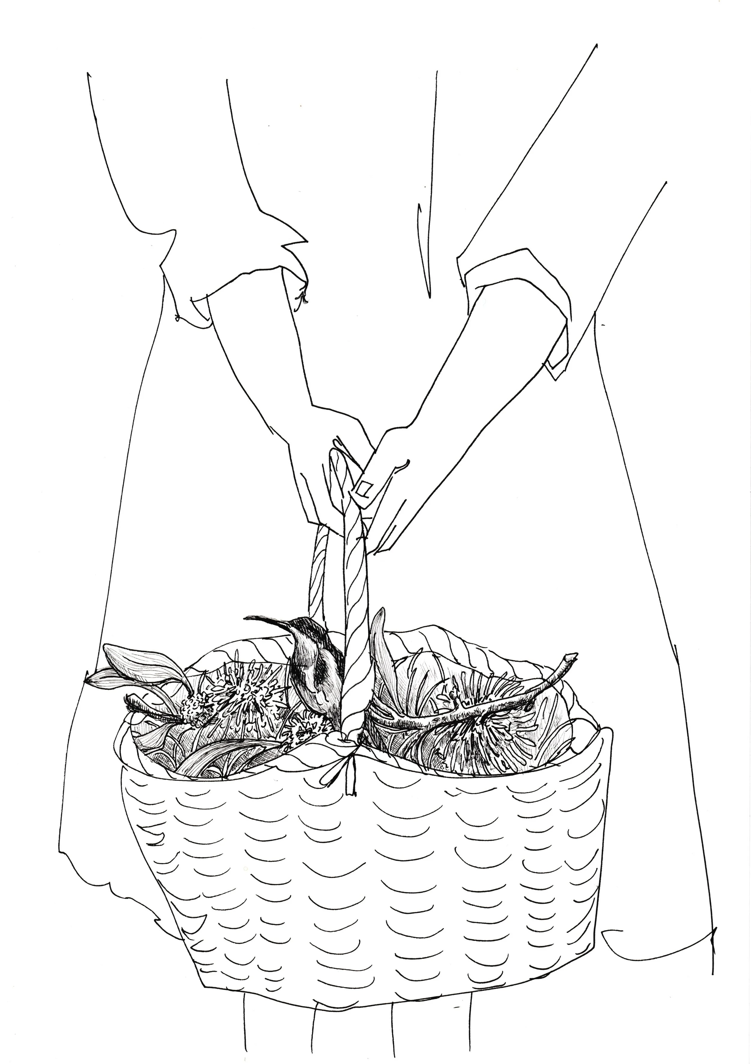 7 Apr 26 bird basket.jpeg