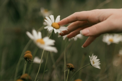 Presence Over Performance — What Sensate Work Has Taught Me So Far