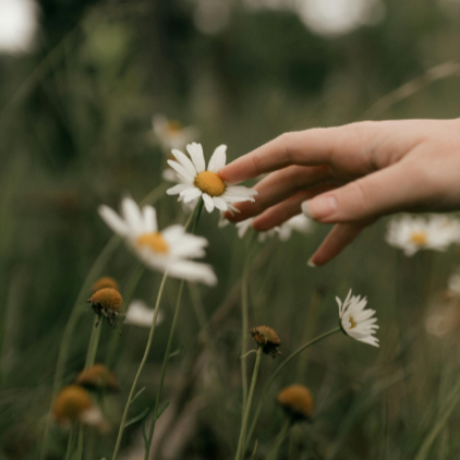 Sensate Focus journal cover — a guide for slowing down, with yourself and others