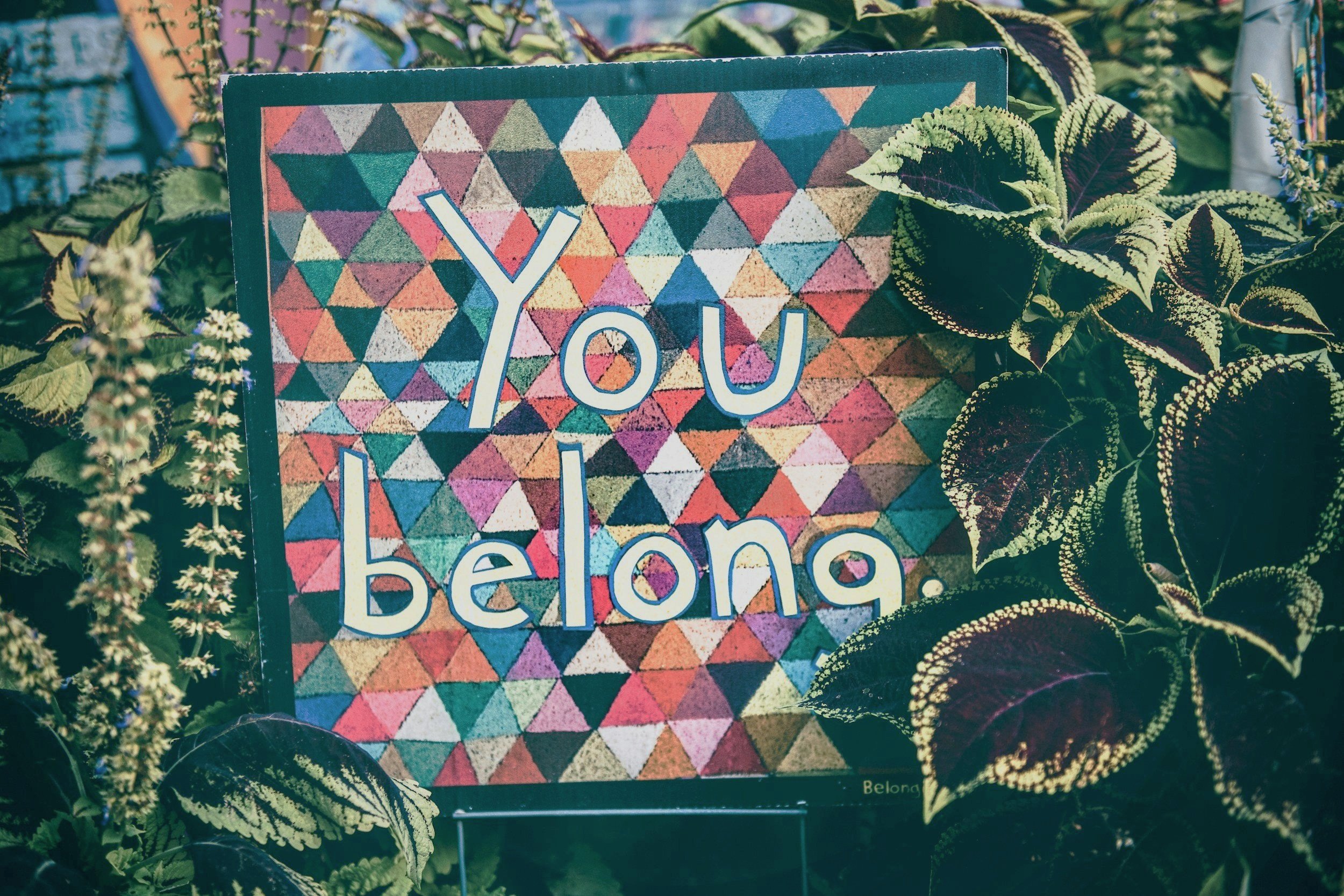 Belonging, Connection and Healing Through Kinship