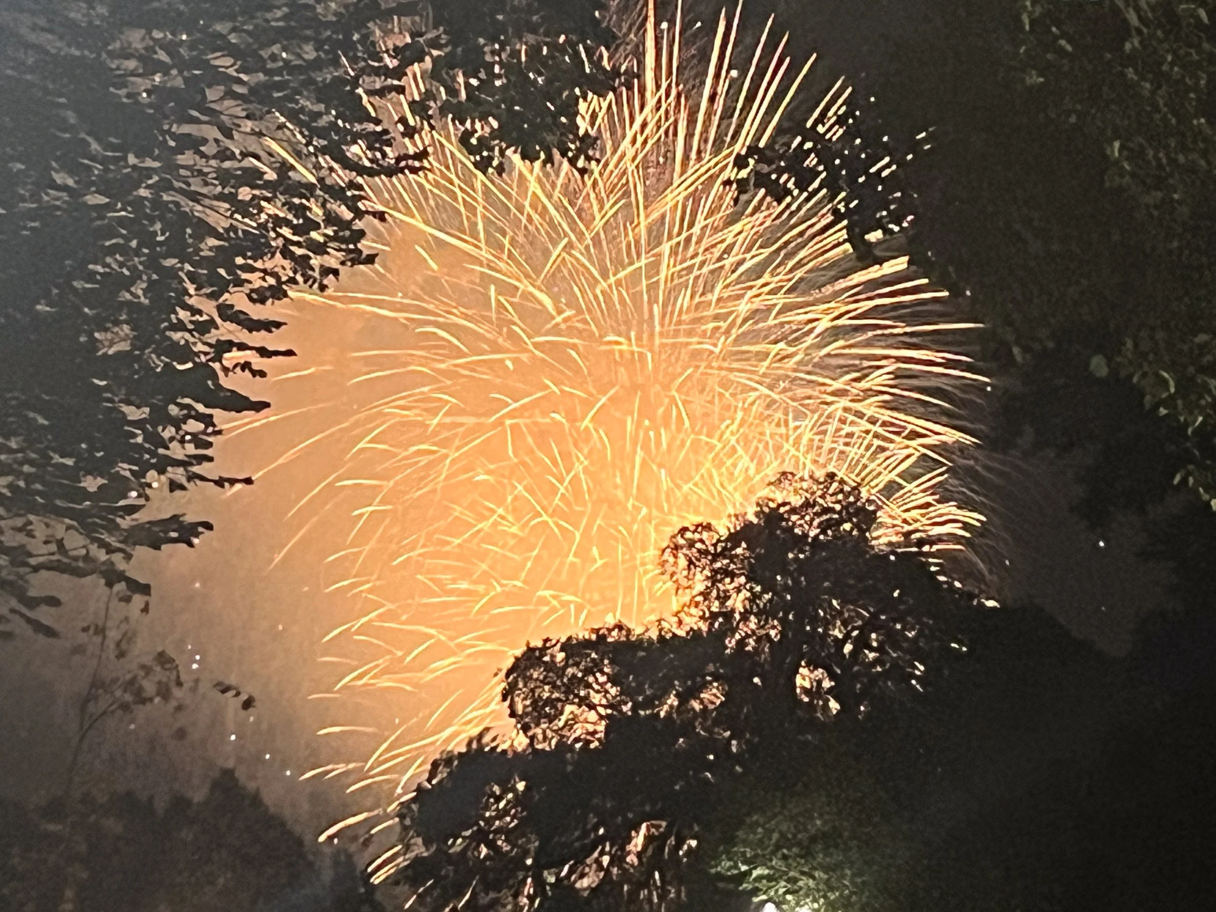 20230704-IMG_9724 2.jpg