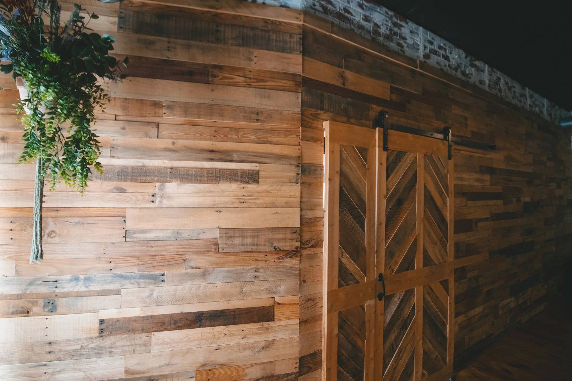 Wood-paneled wall with sliding barn door and hanging green plant.