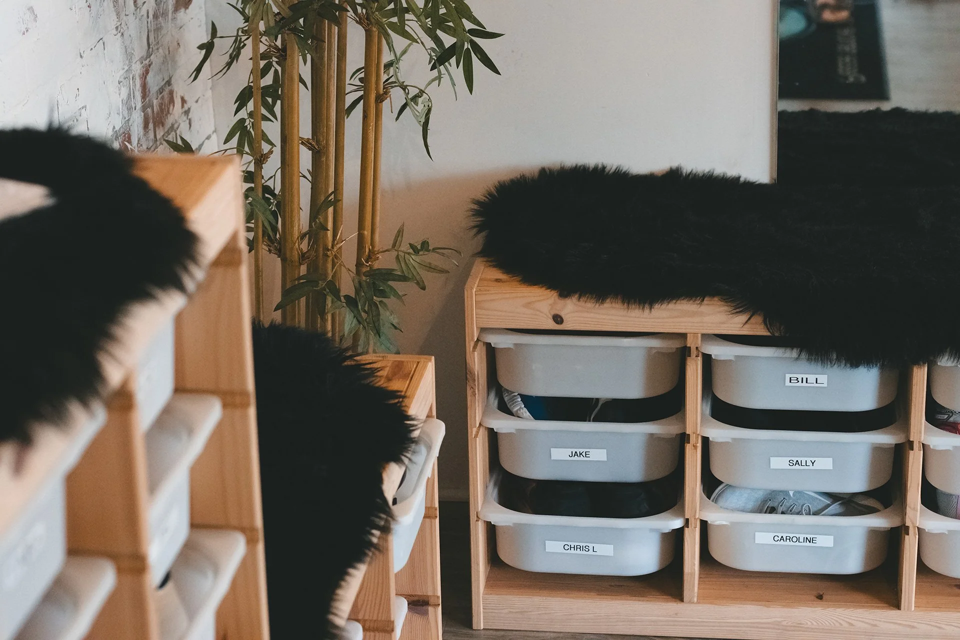Wooden storage unit with labeled plastic bins containing shoes, black furry covers on top, next to a potted plant, in a room with brick and white walls.