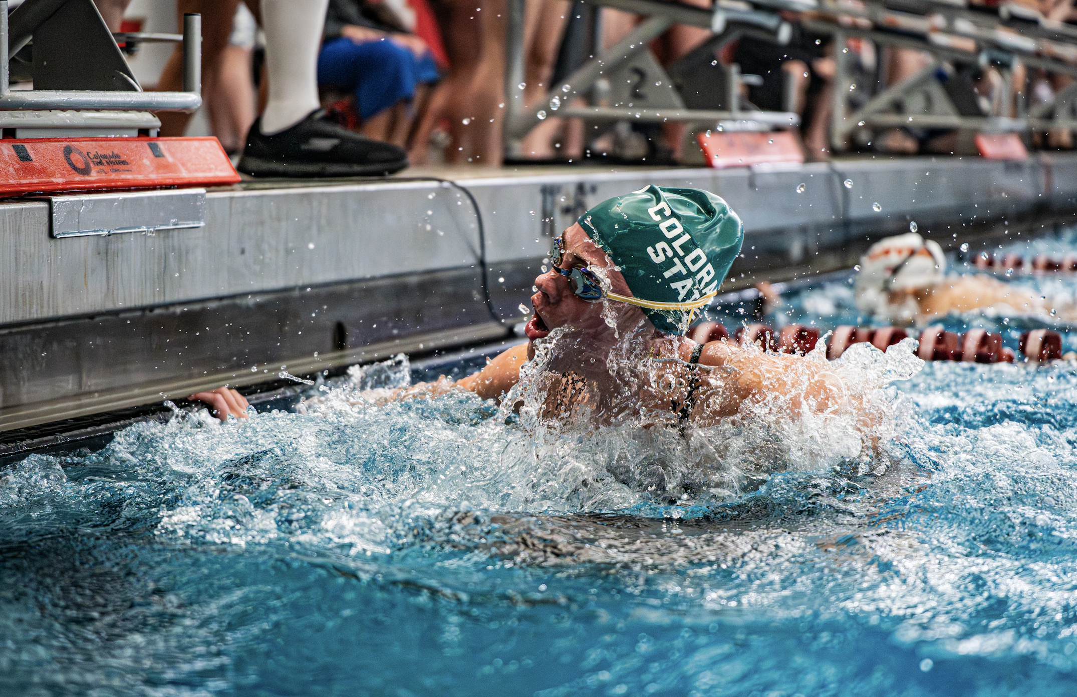 Screenshot 2026-02-03 at 9.00.01 PM.png