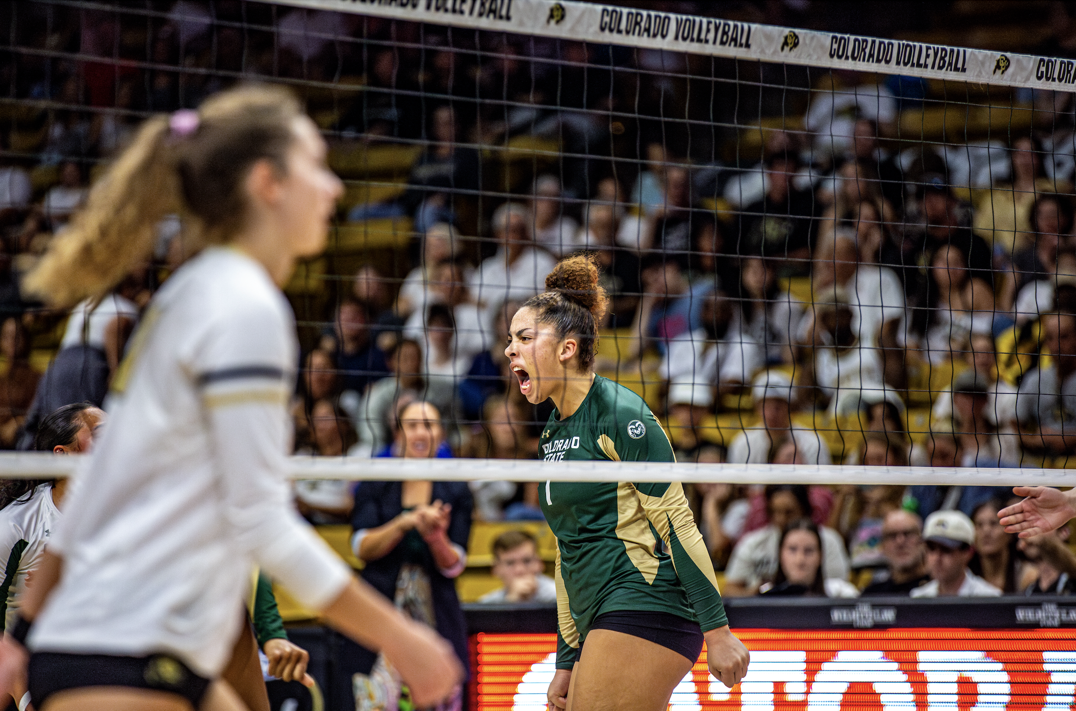 Screenshot 2025-06-09 at 11.19.47 AM.png