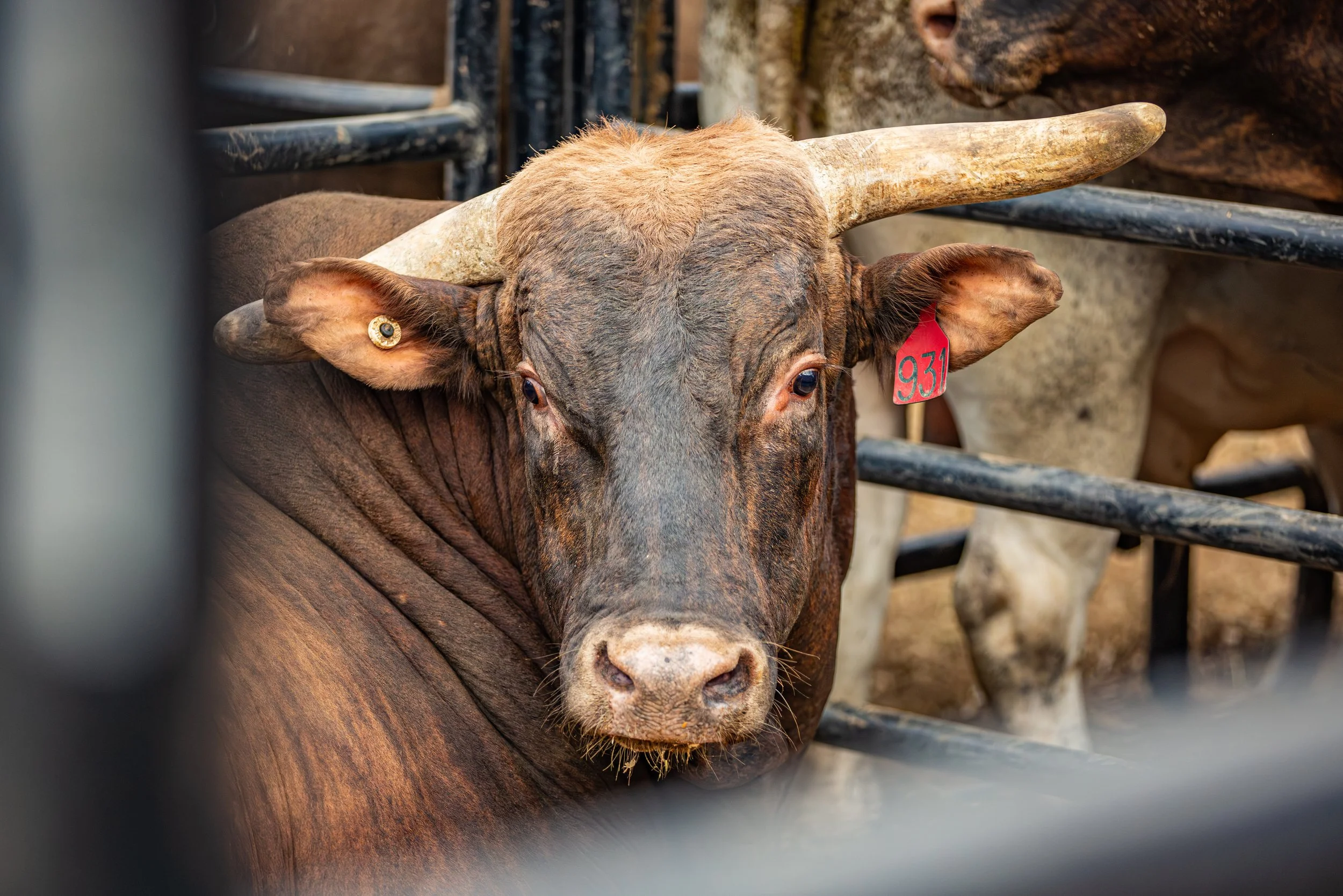 072125 PBR Day 1-53.jpg