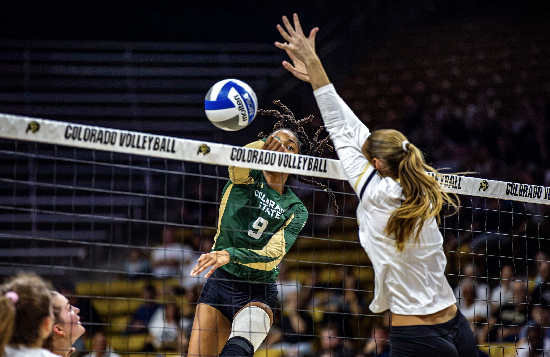 Screenshot 2026-02-03 at 11.03.39 PM.png