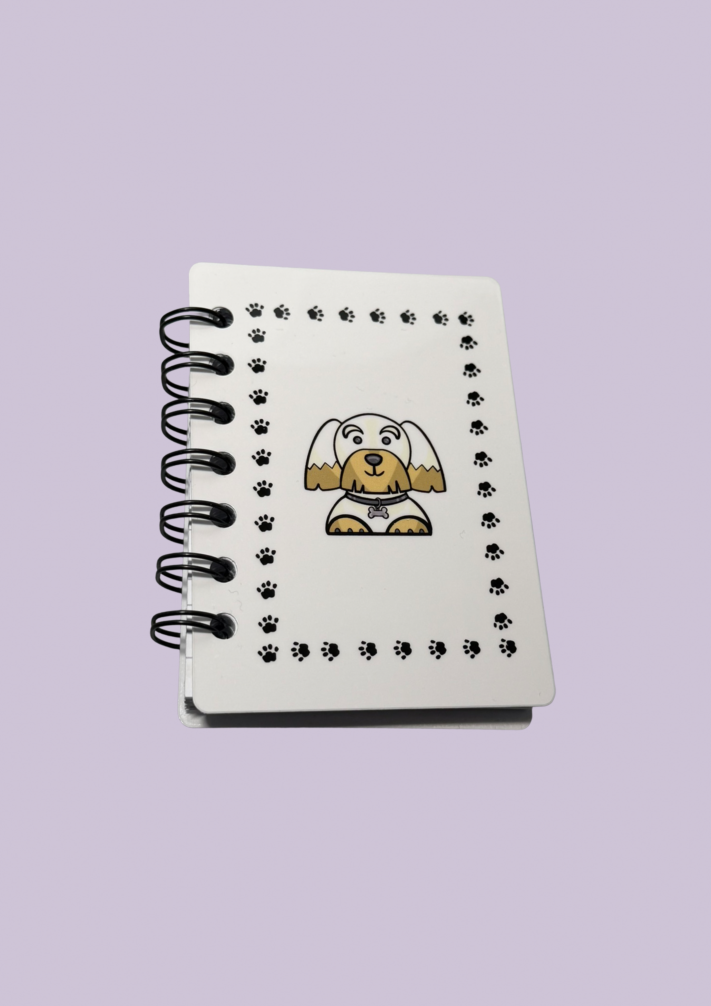 102.png