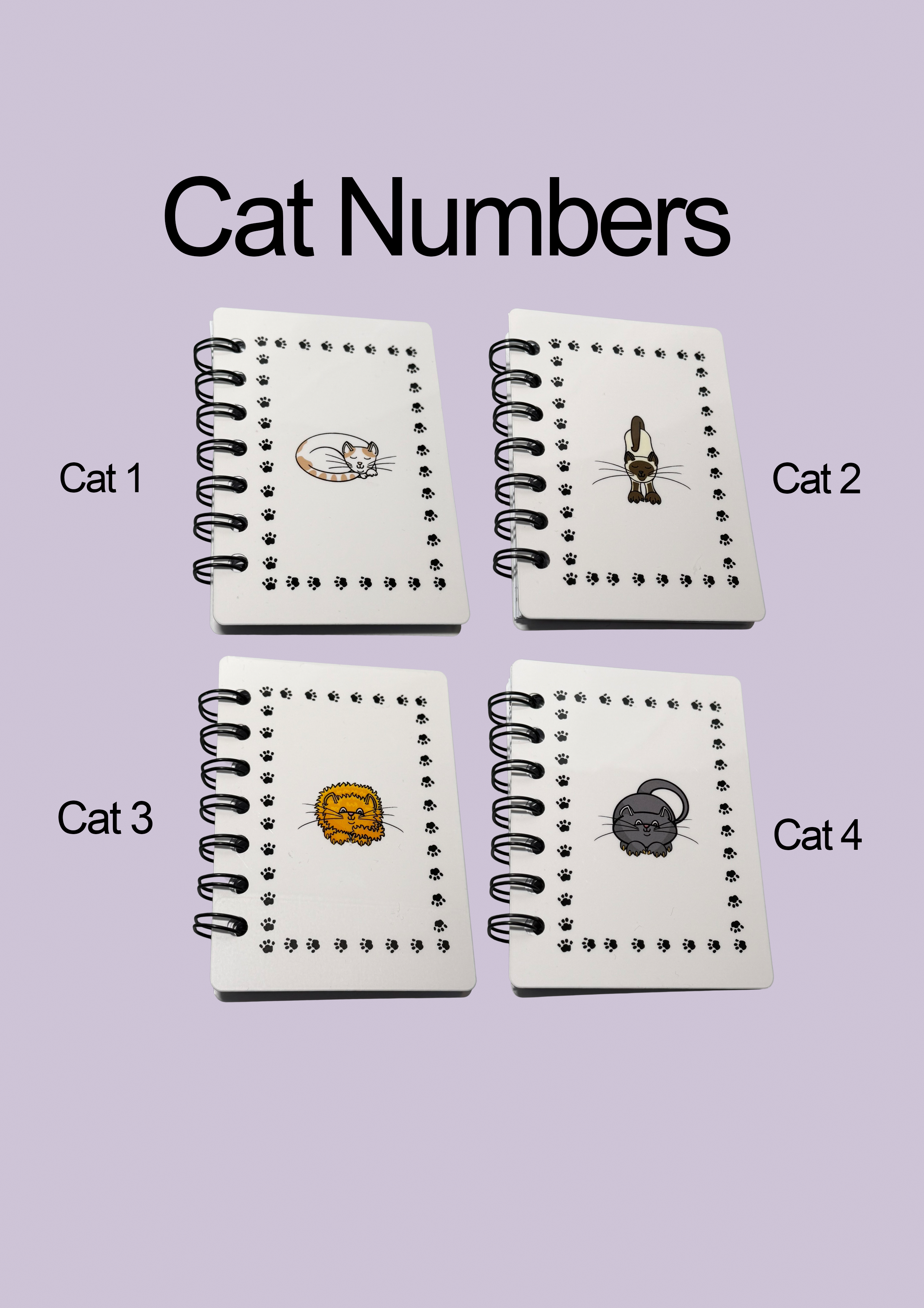 cat numbers.png
